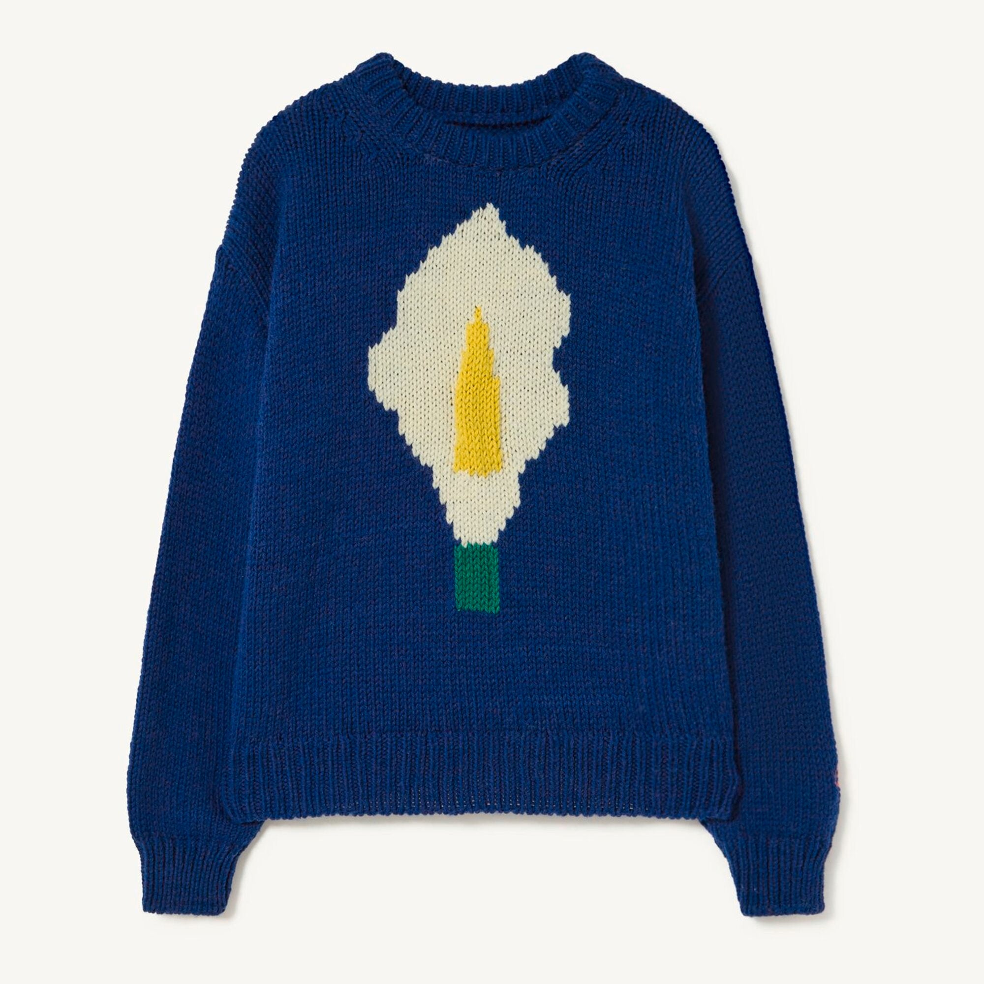 Boys & Girls Navy Wool Sweater