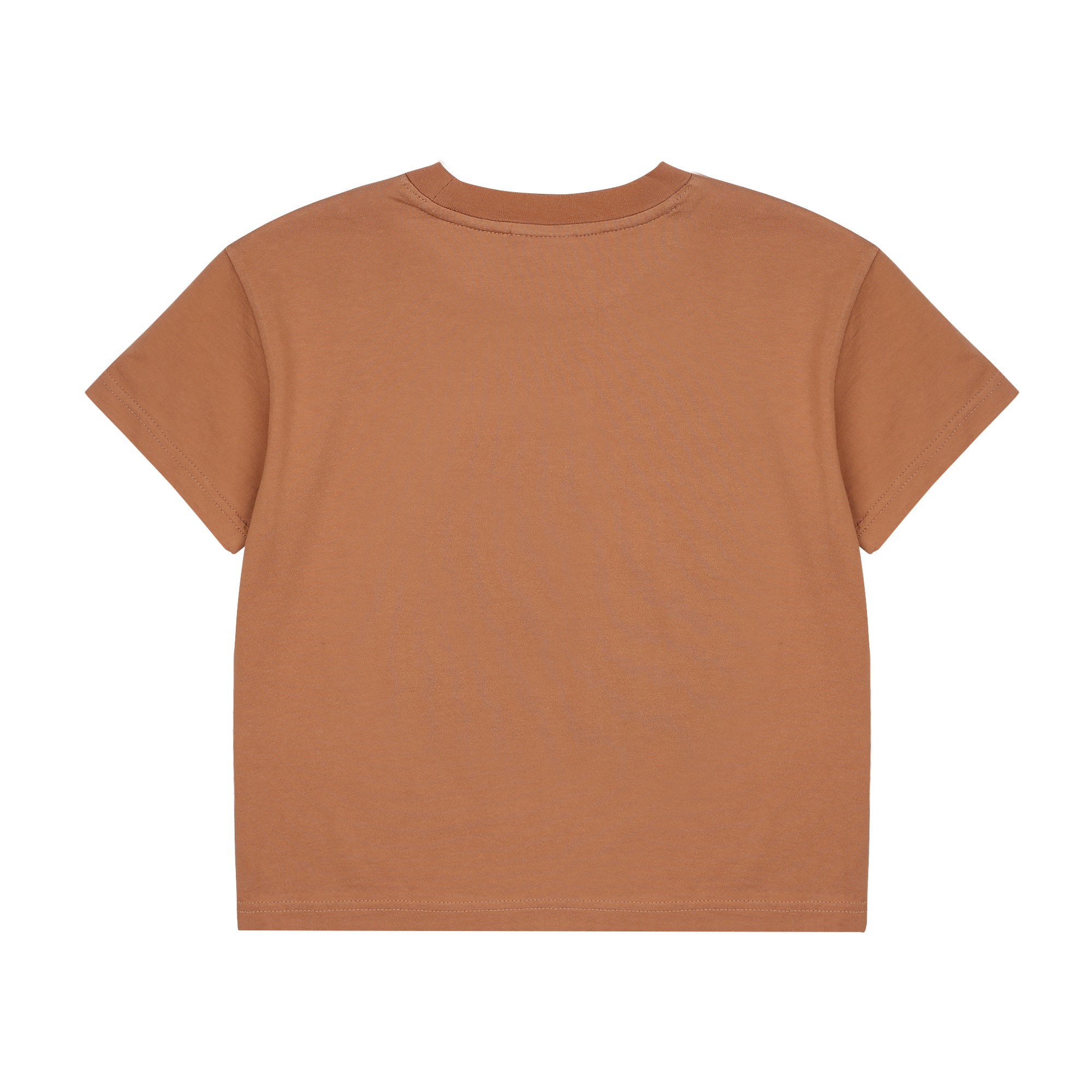 Boys & Girls Brown Printed Cotton T-Shirt