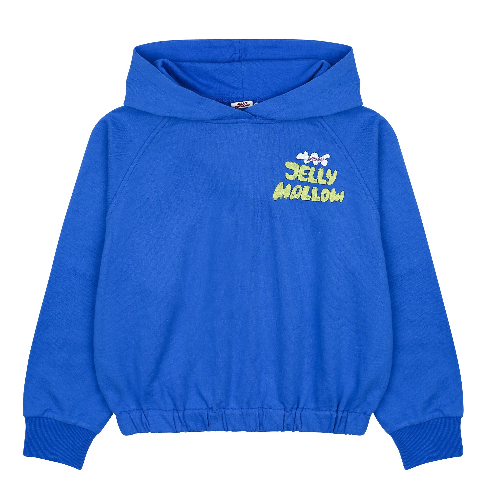 Boys & Girls Blue Cotton Hooded Sweatshirt