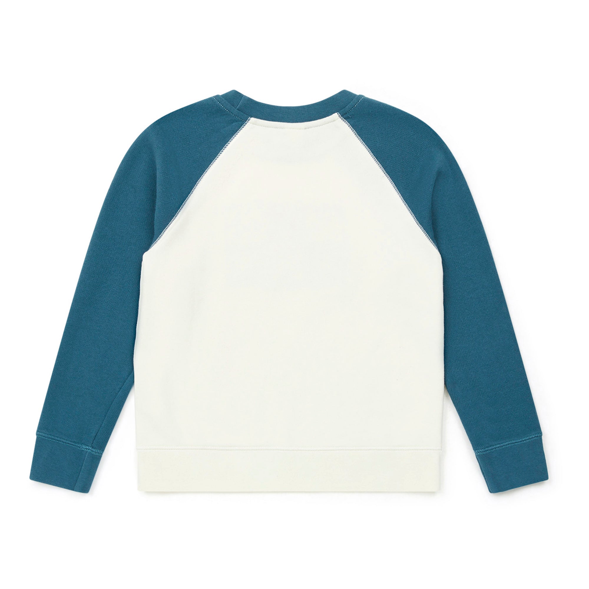 Boys Blue Logo Cotton Sweatshirt