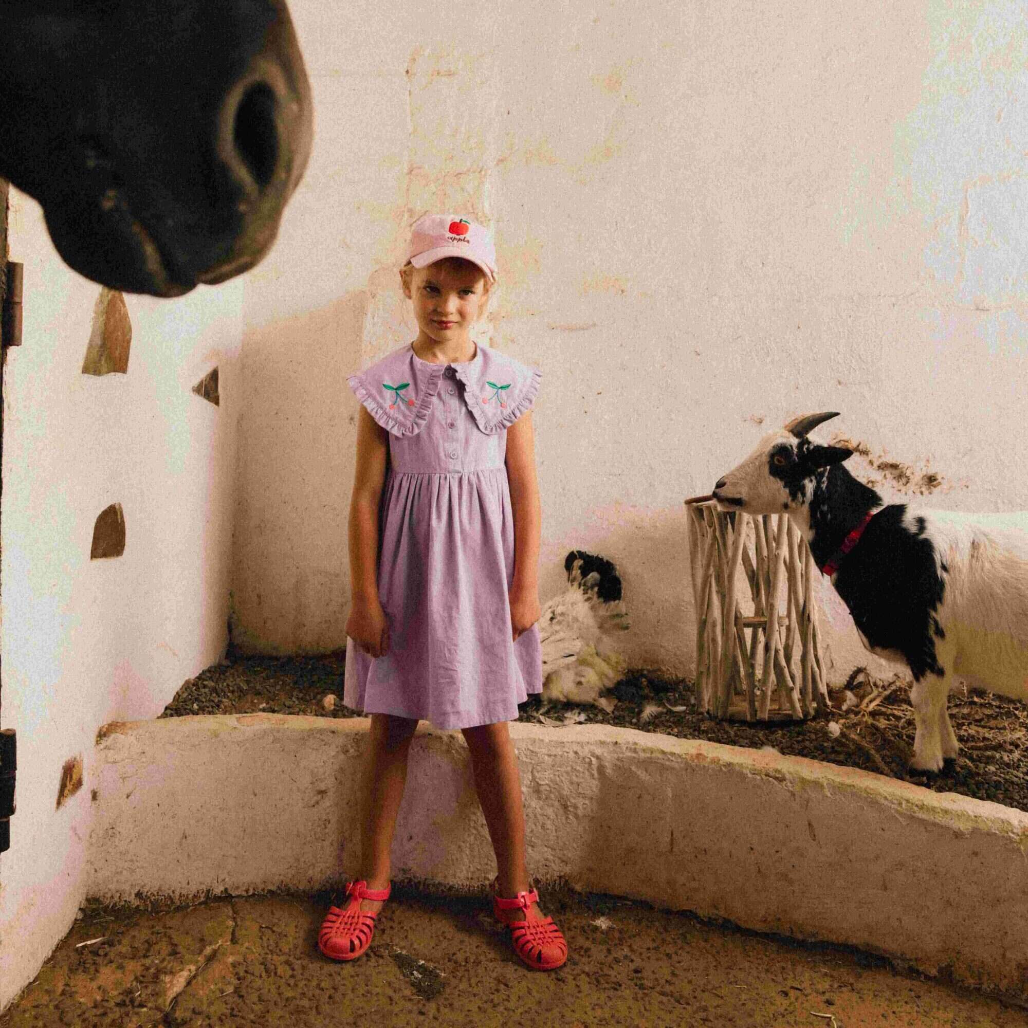 Girls Purple Ruffled Cotton Dress