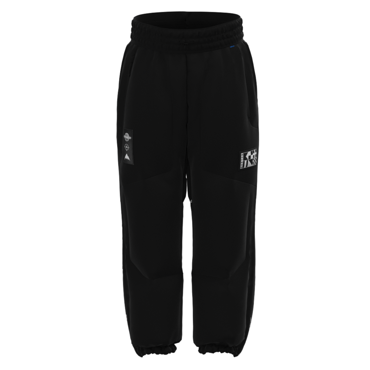 Daybeacon Expedition Puffy Pants