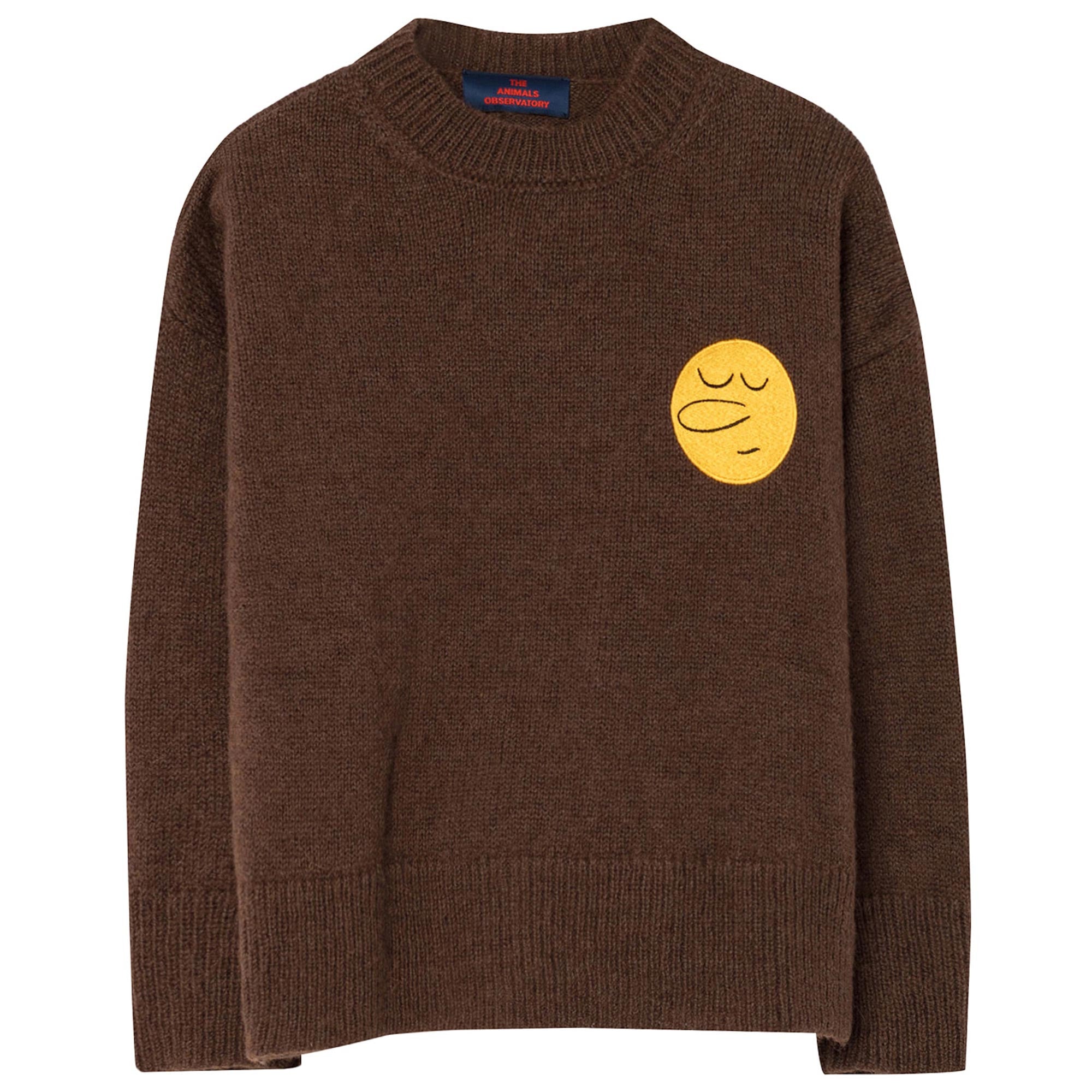 Boys & Girls Brown Sweater