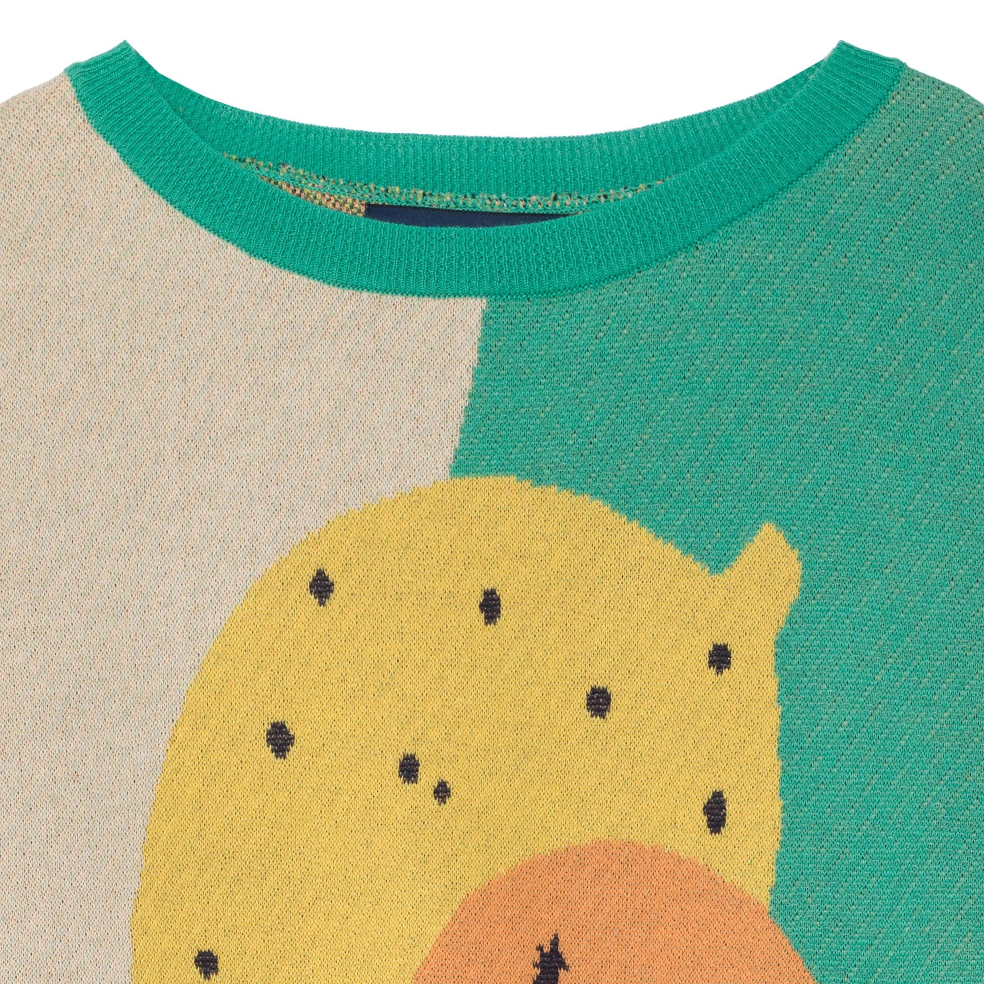 Girls Green Orange Printed Cotton Knitted Sweater