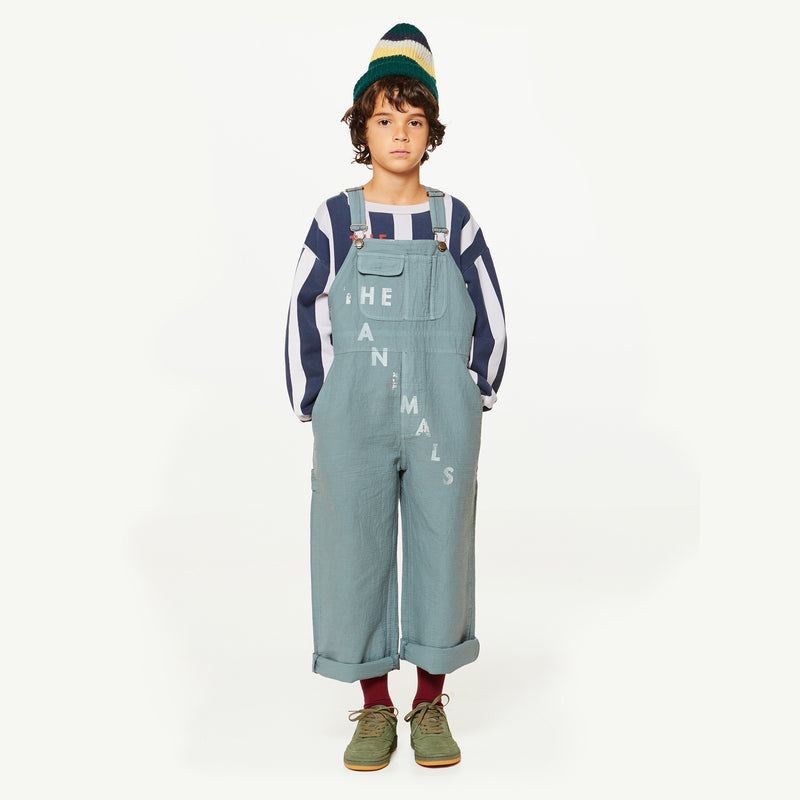 Girls & Boys Grey Cotton Trousers