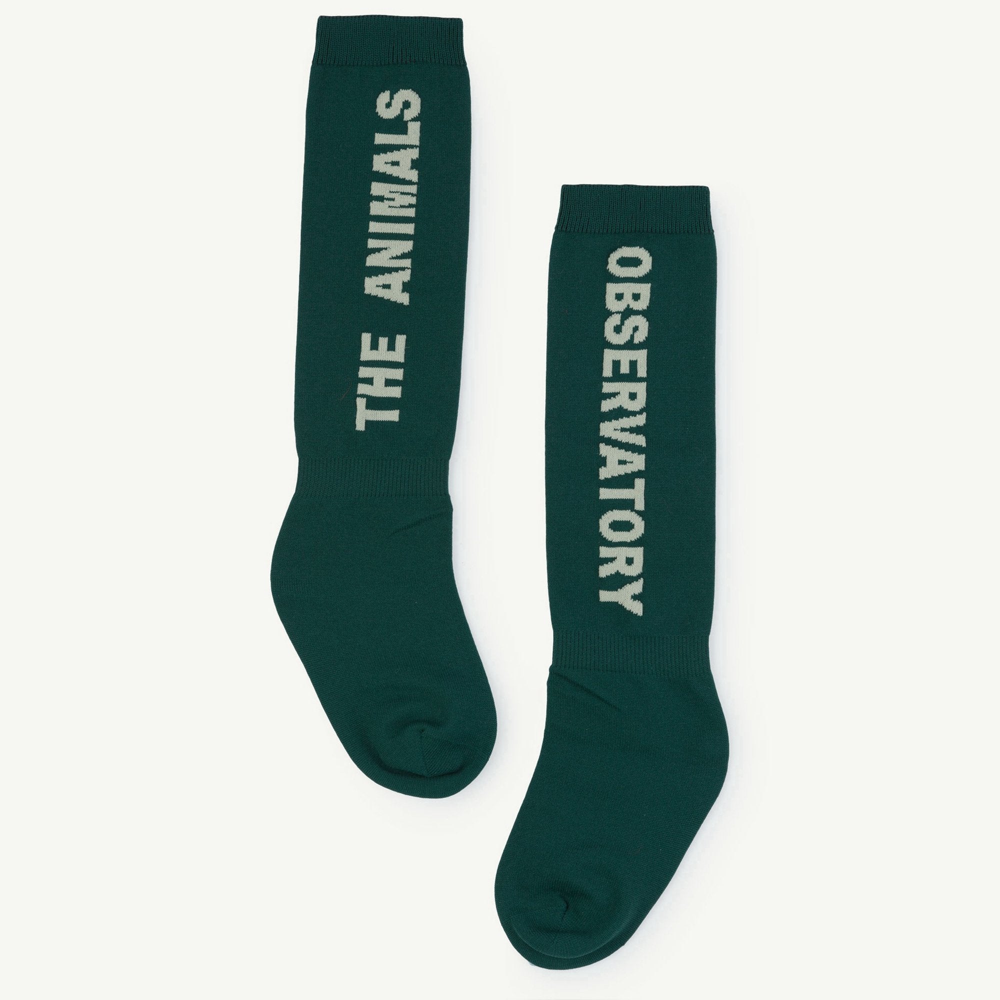 Girls & Boys Turquoise Socks