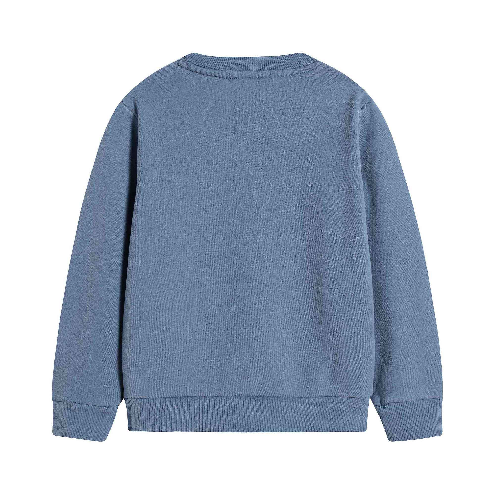 Boys Blue Cotton Sweatshirt