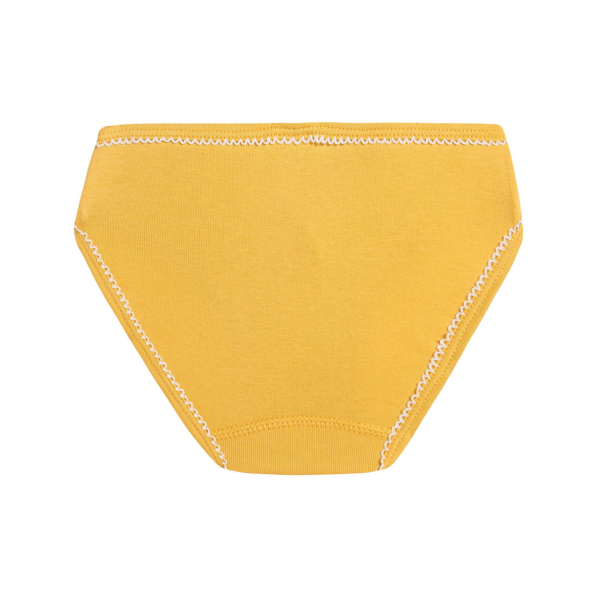 Girls Multicolor Cotton Underwear Set (5 Pack)