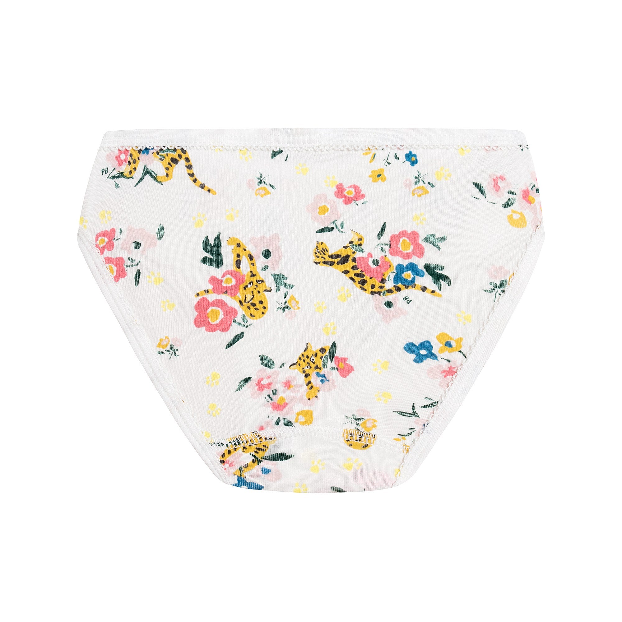 Girls Multicolor Cotton Underwear Set (5 Pack)