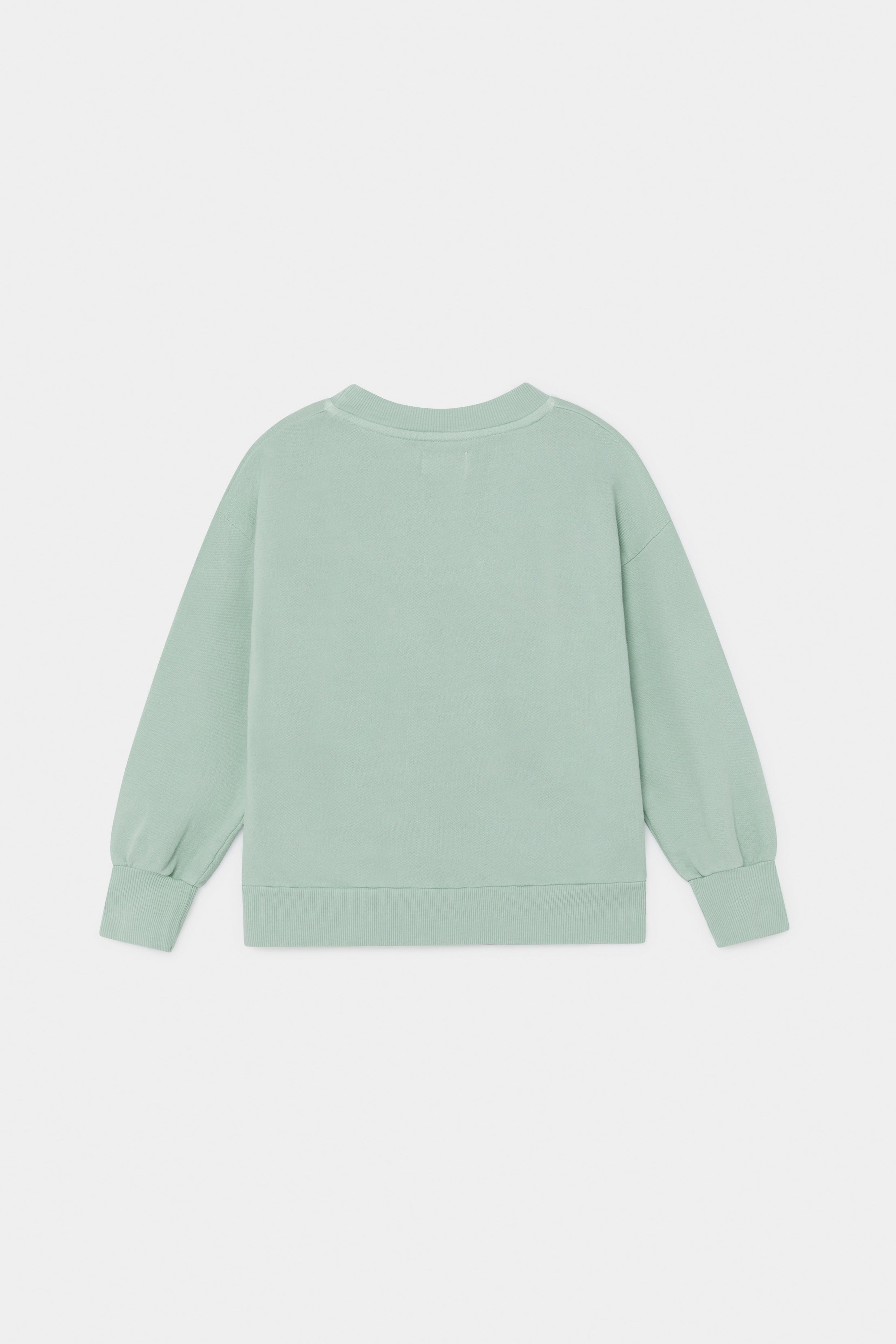 Boys Green Leopard Cotton Sweatshirt