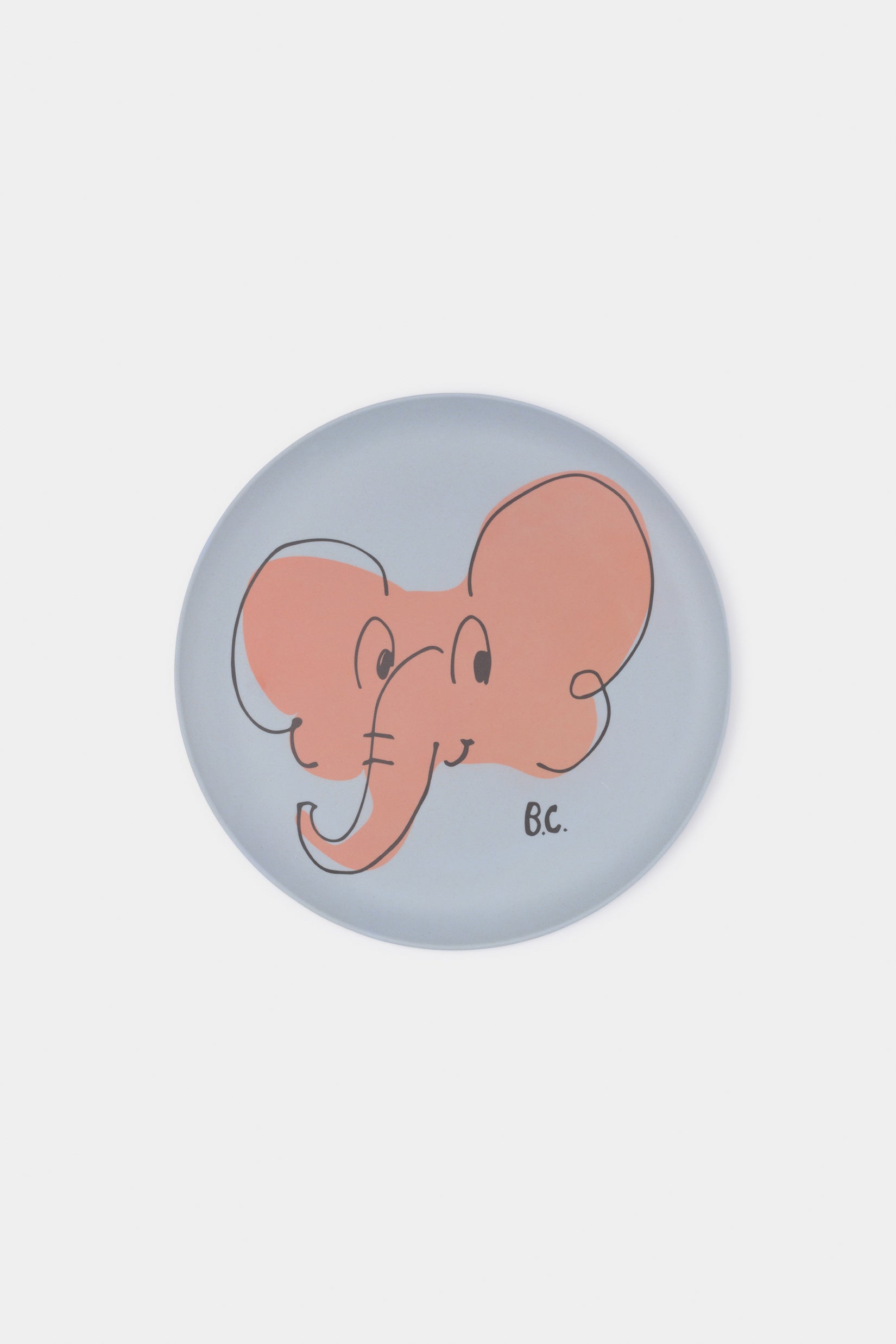 Multicolor Bamboo Plate (Pack 4)