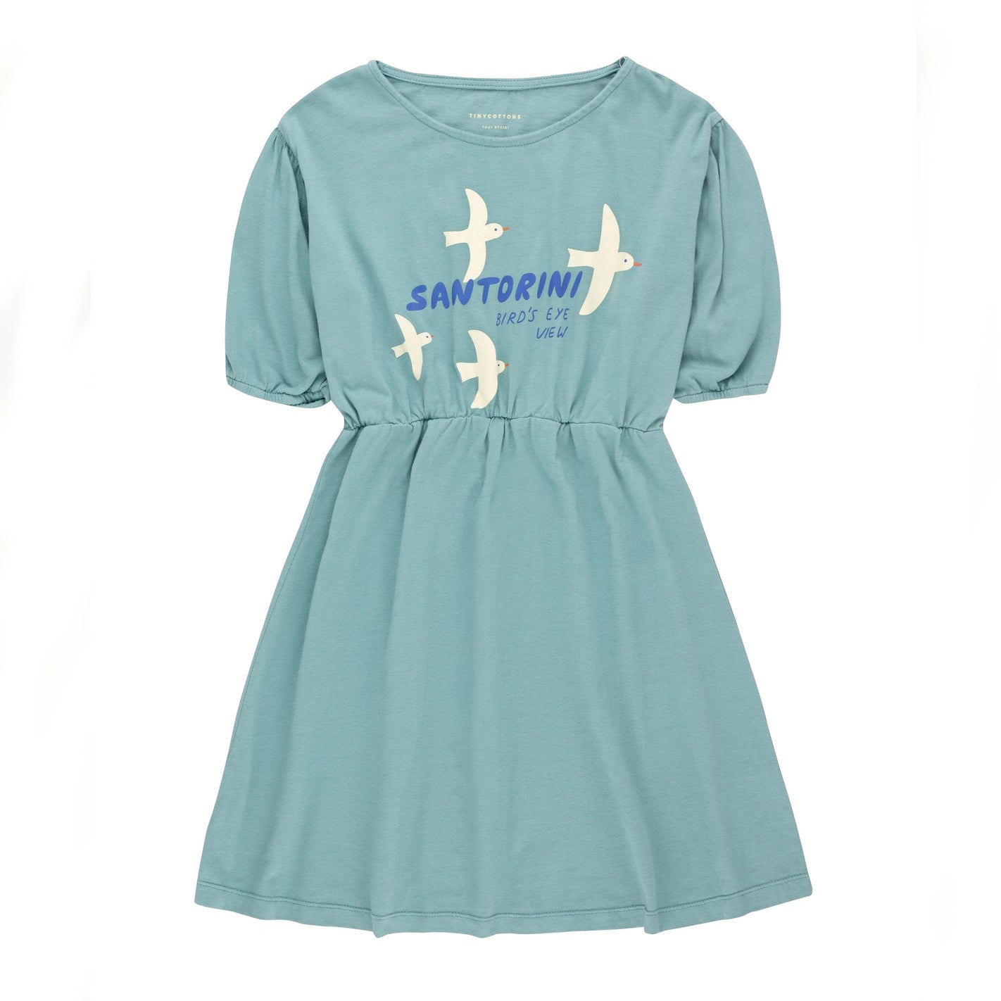 Girls Blue Printed Cotton Dress
