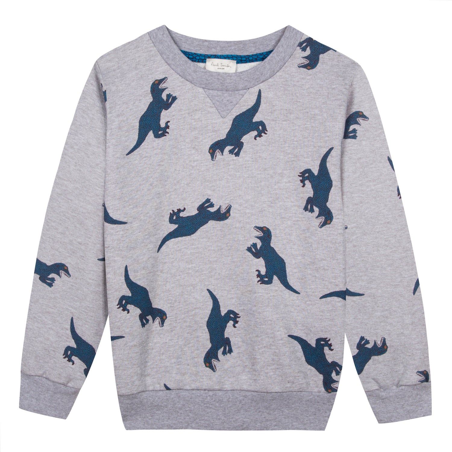 Boys Grey Cotton Sweater