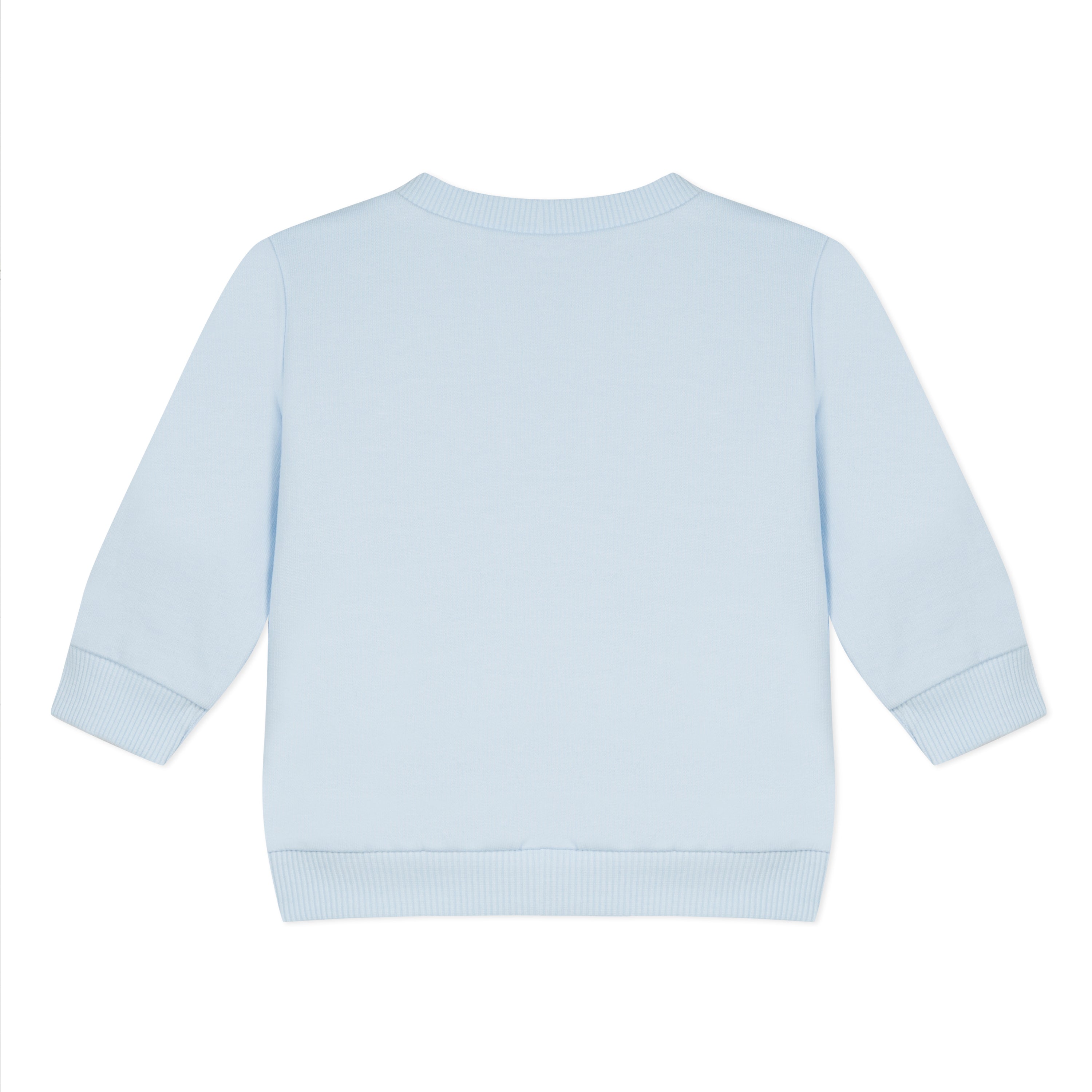 Baby Boys Light Blue Printing Cotton Sweatshirt