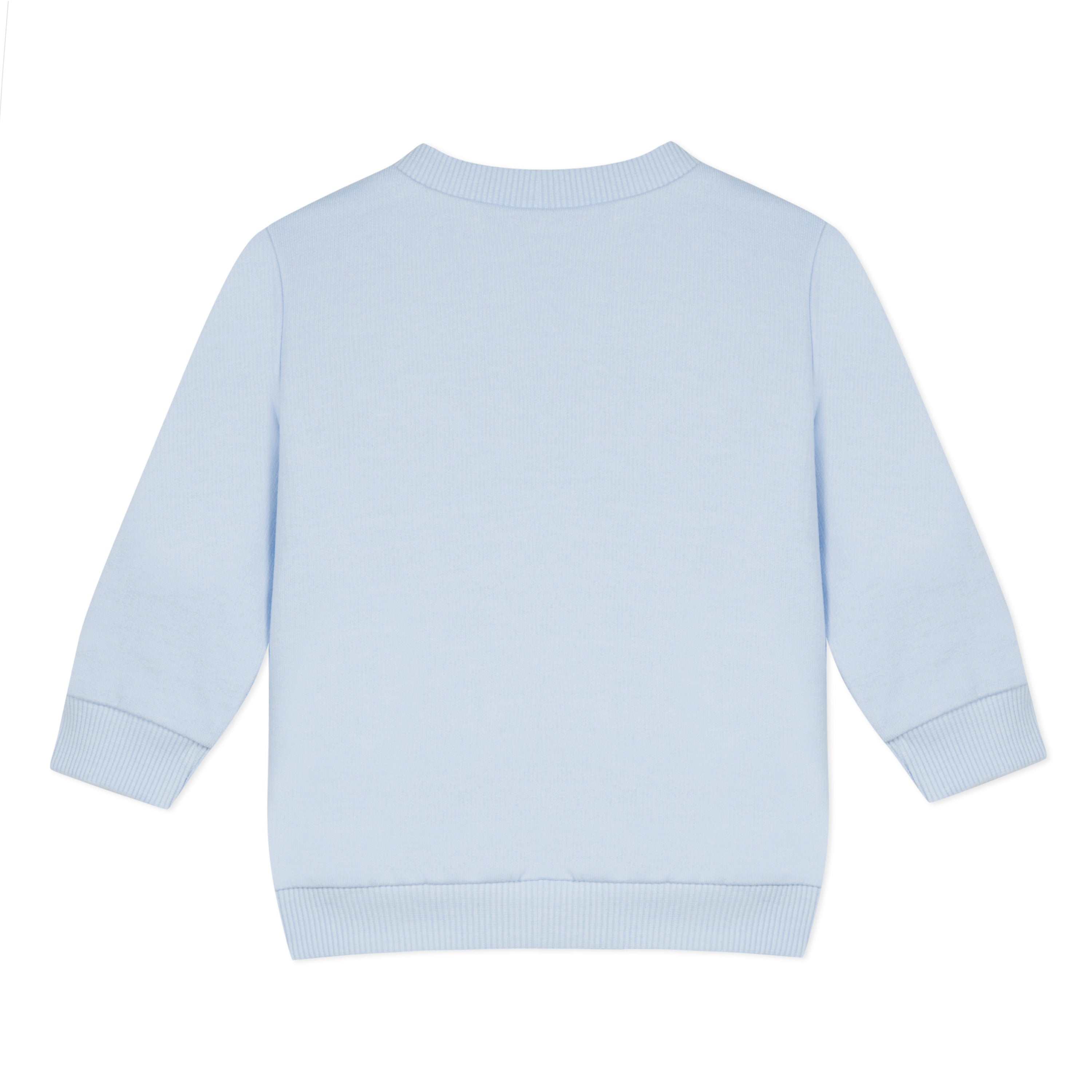 Baby Boys Light Blue Tiger Cotton Sweatshirt