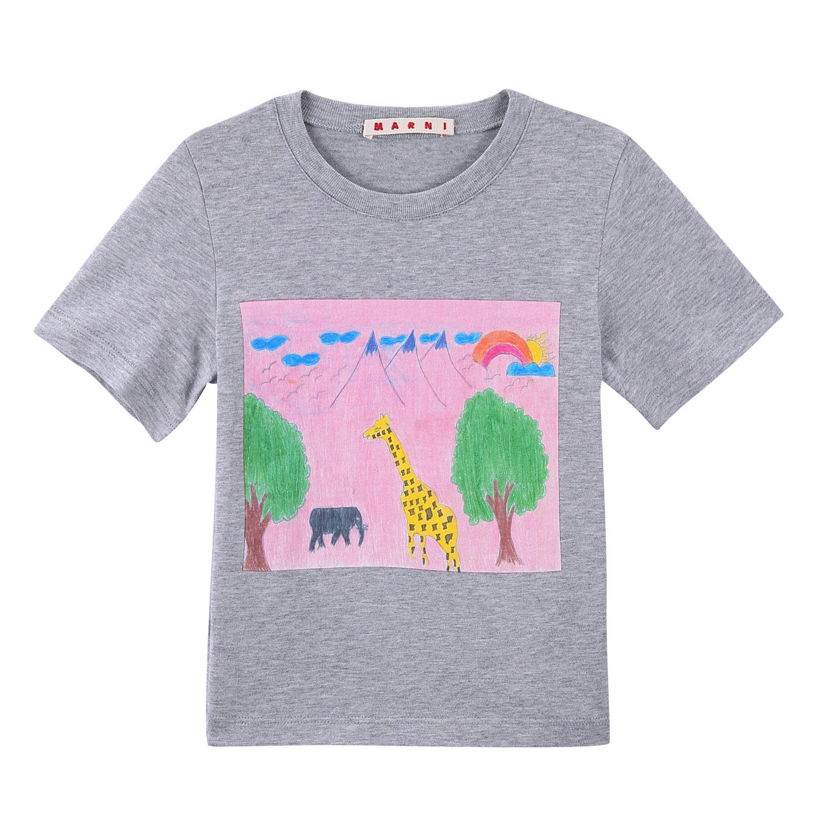 Girls Grey Animal Printed Cotton Jersey T-Shirt - CÉMAROSE | Children's Fashion Store - 1