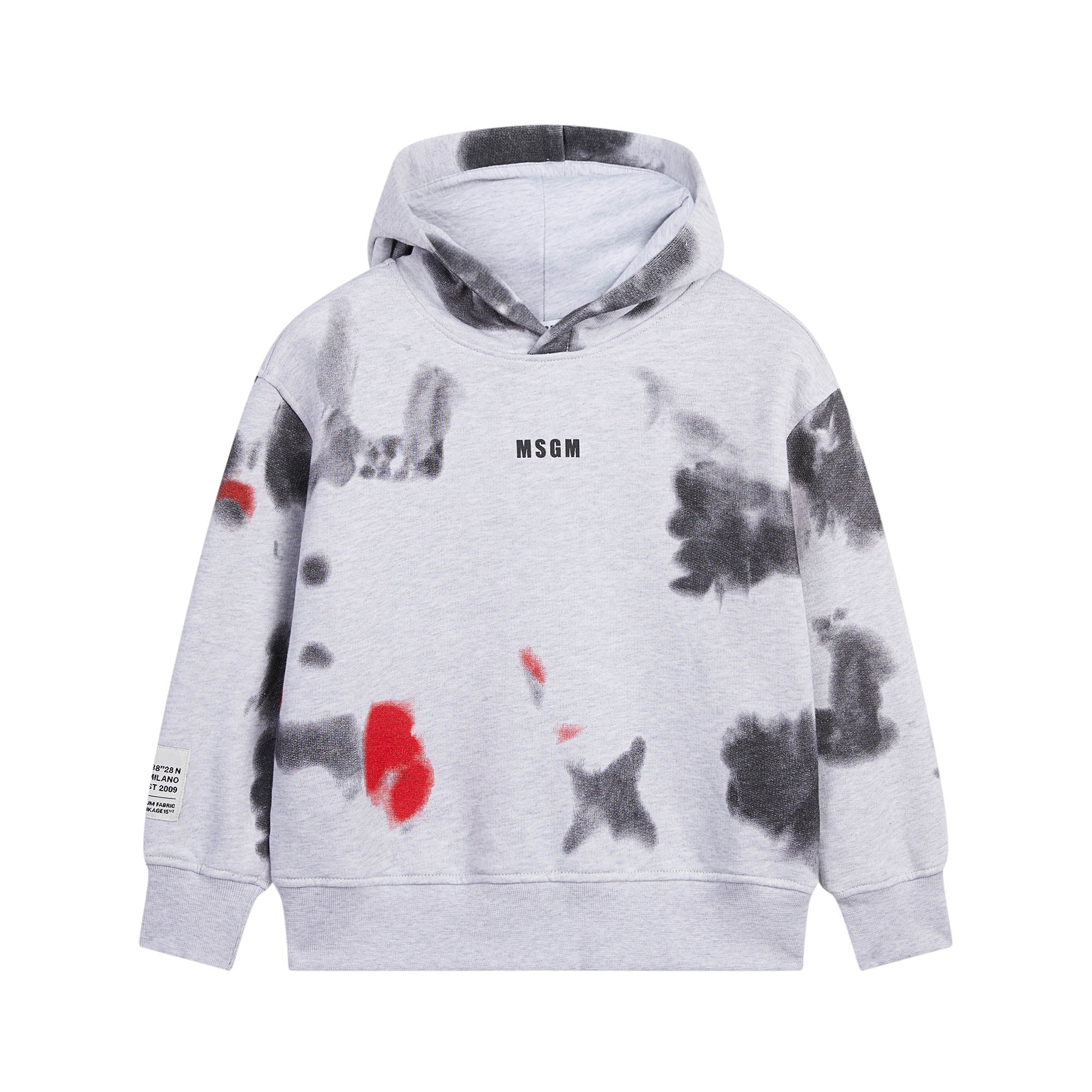 Boys & Girls Grey Hooded Sweatshirt