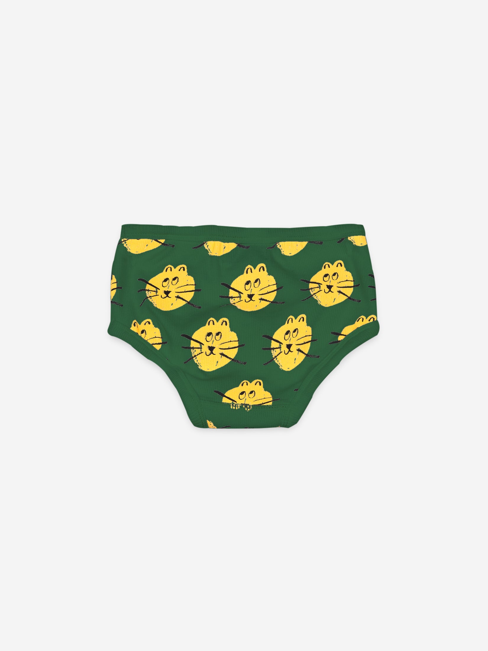 Boys Aqua Green Underwear Set