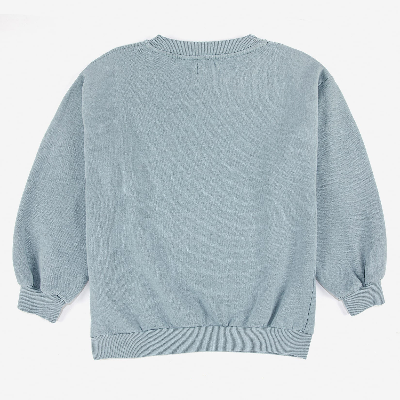 Boys & Girls Light Blue Printed Cotton Sweatshirt
