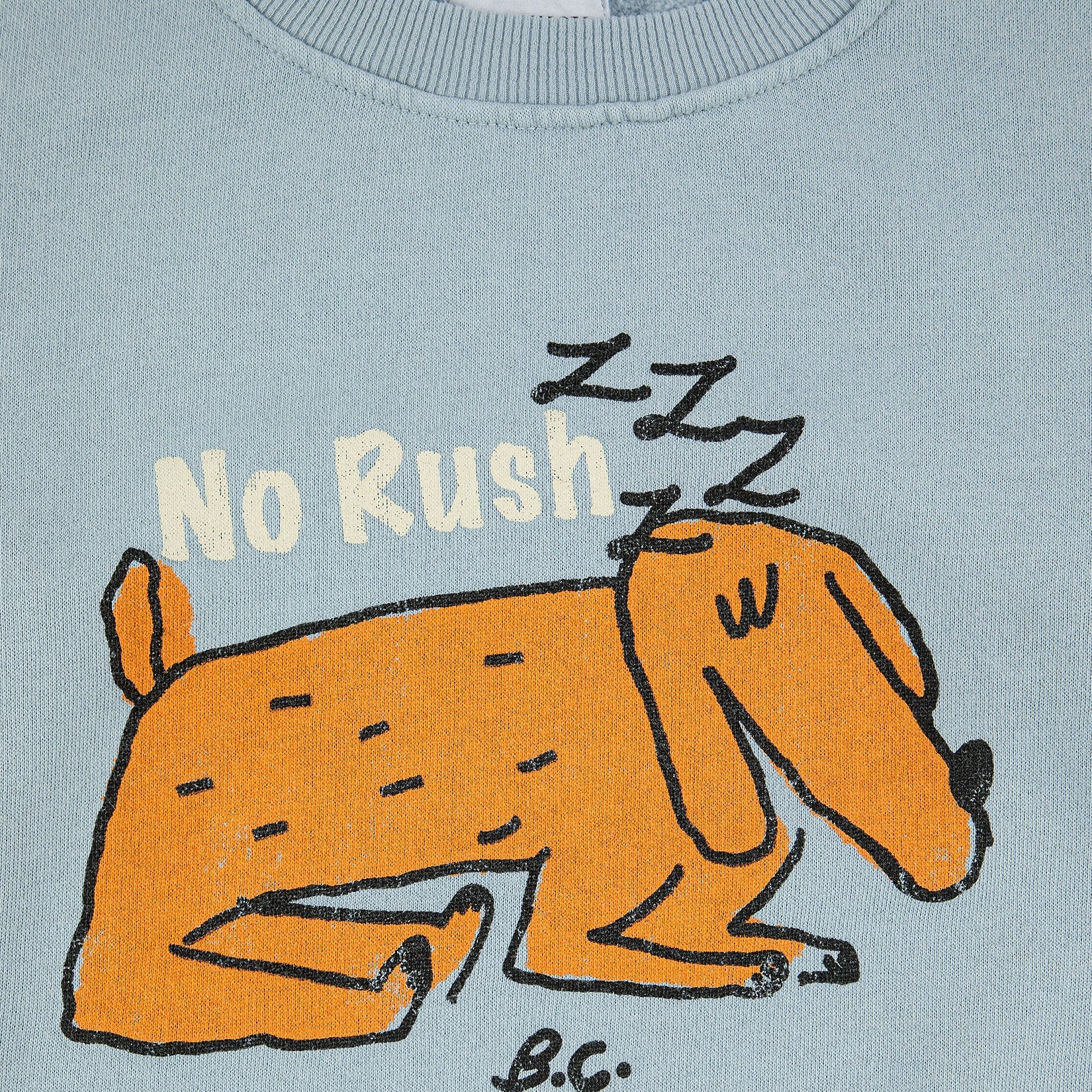 Boys & Girls Light Blue Printed Cotton Sweatshirt