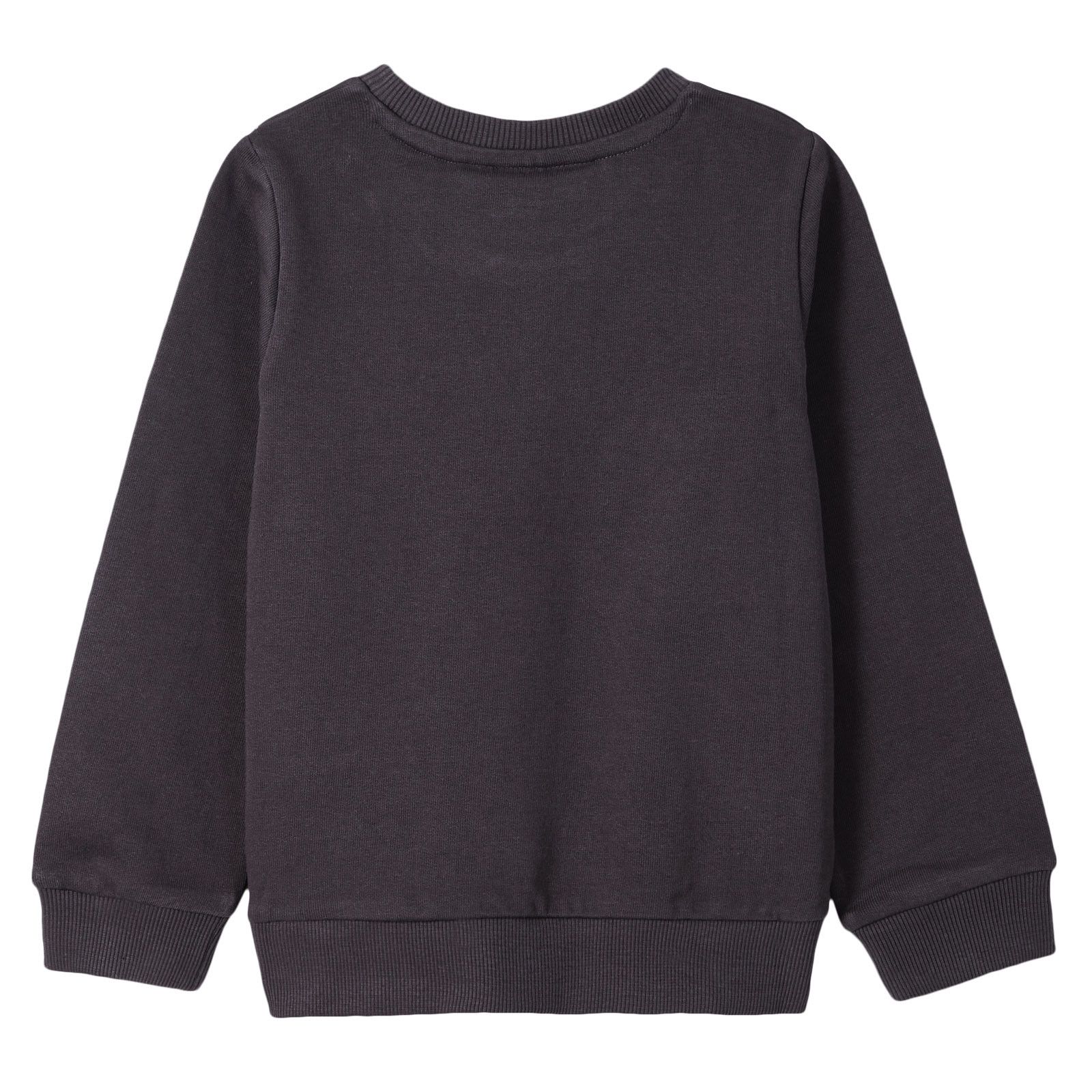Boys&Girls Dark Grey Bengal Tiger Printed Sweatshirt - CÉMAROSE | Children's Fashion Store - 2