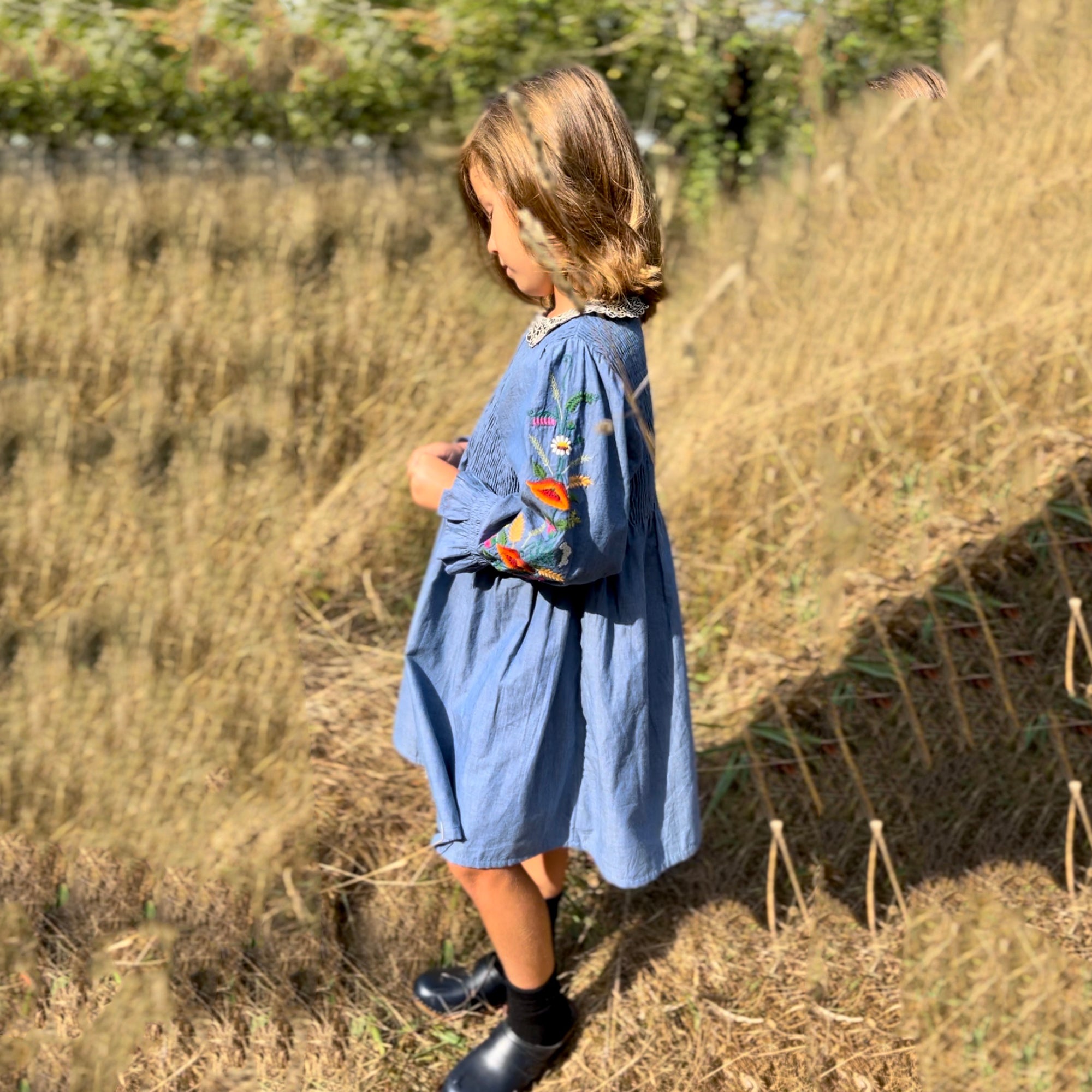 Girls Blue Embroidered Dress