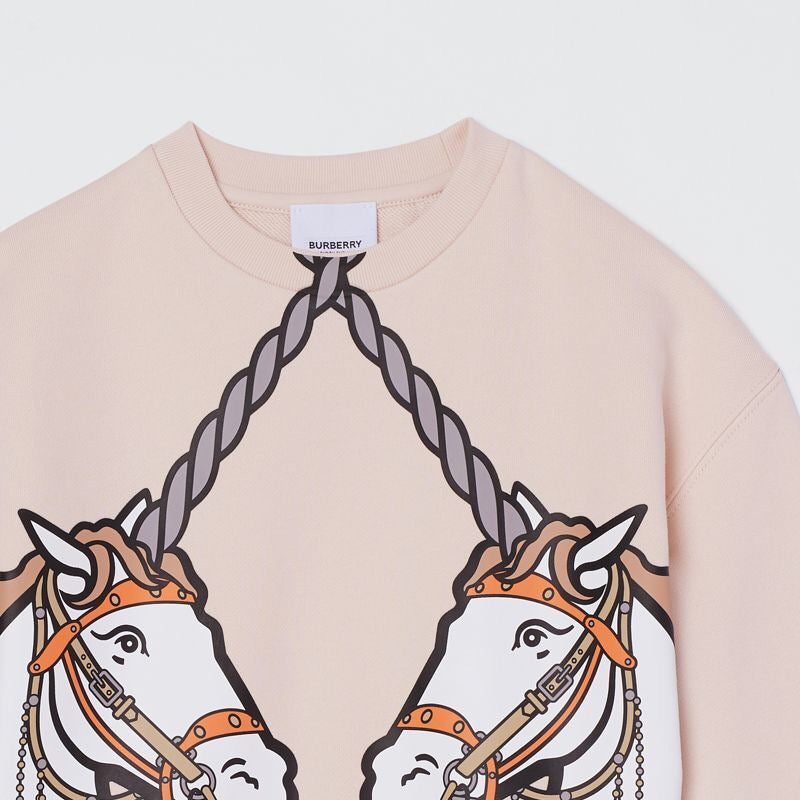 Girls Soft Pink Cotton Sweatshirt