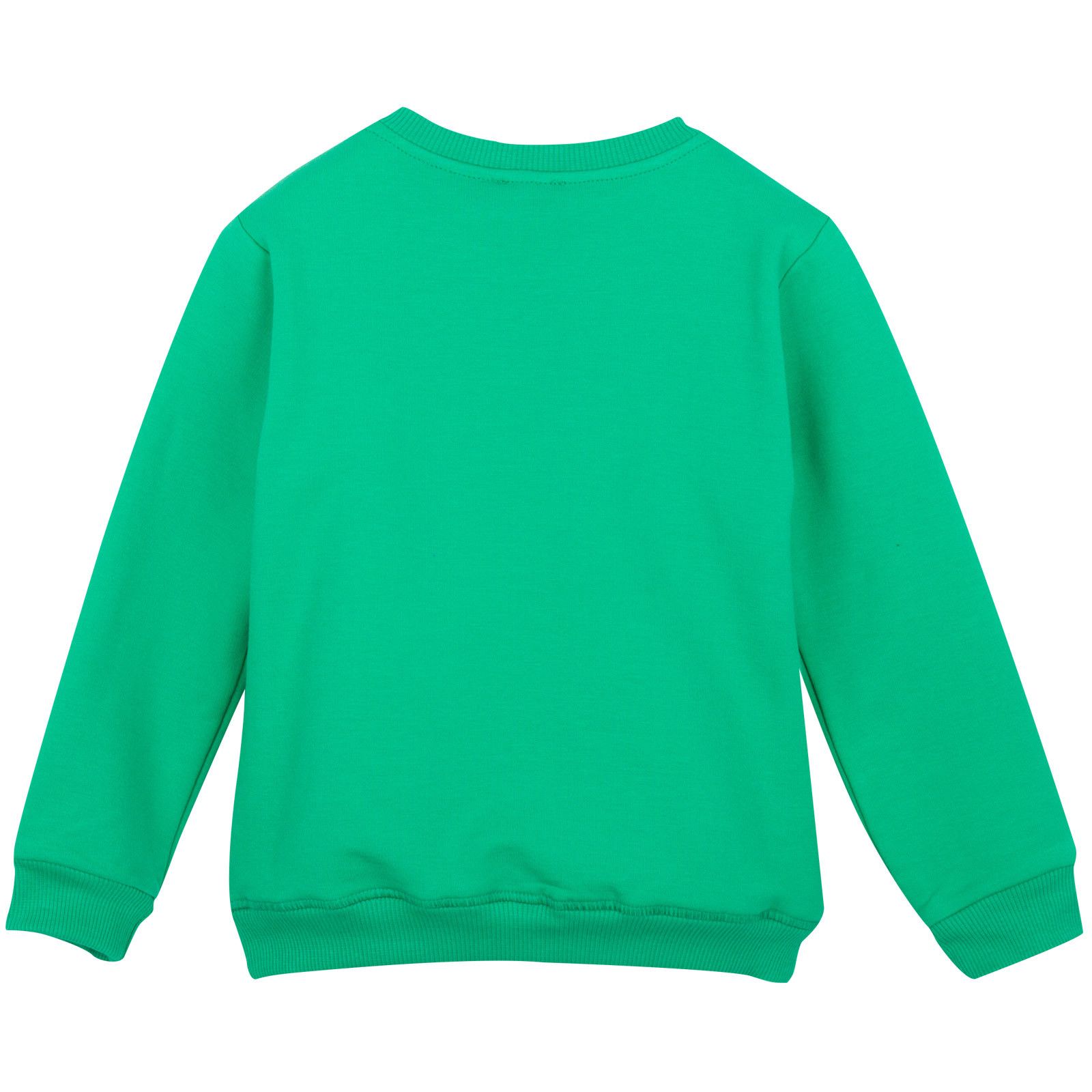 Boys Green Tiger Embroidered Sweatshirt - CÉMAROSE | Children's Fashion Store - 2