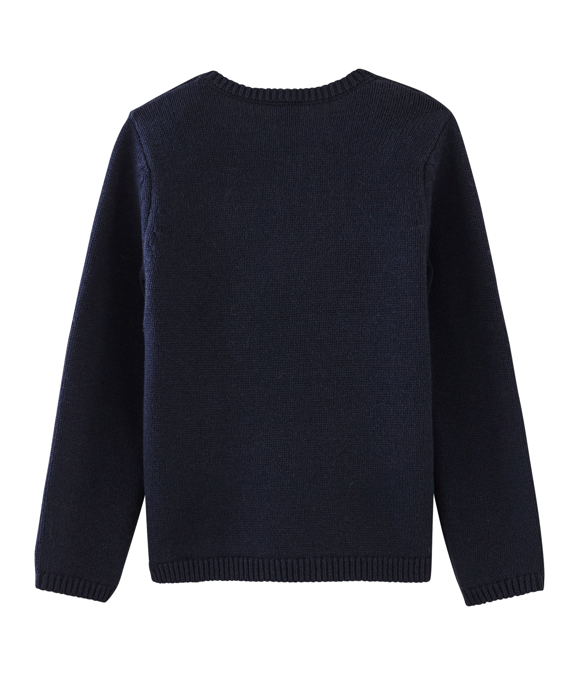 Girls Blue Embroidered Cotton Sweater