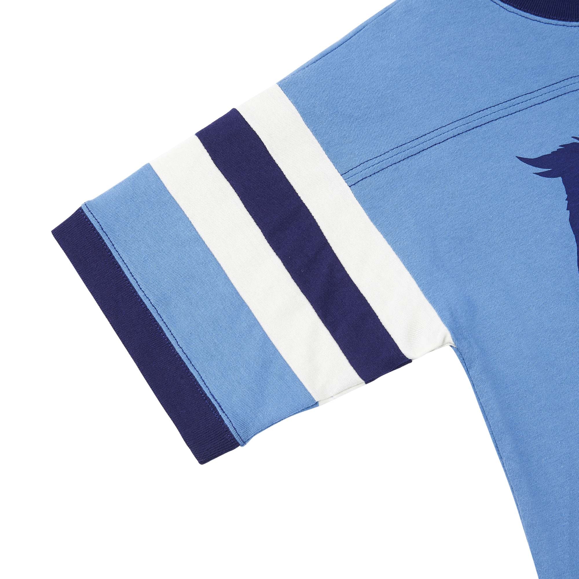 Boys Blue Cotton T-shirt