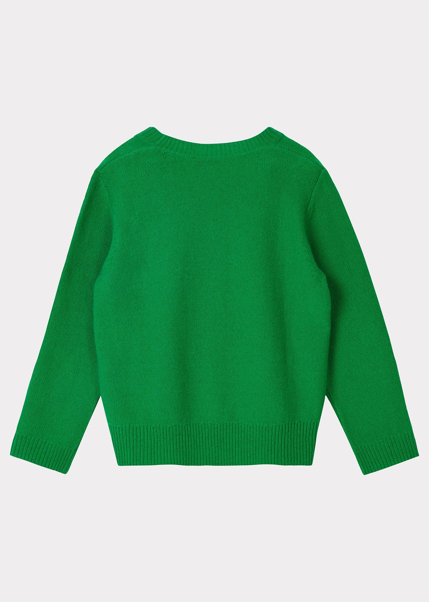 Boys & Girls Emerald Jay Jumper