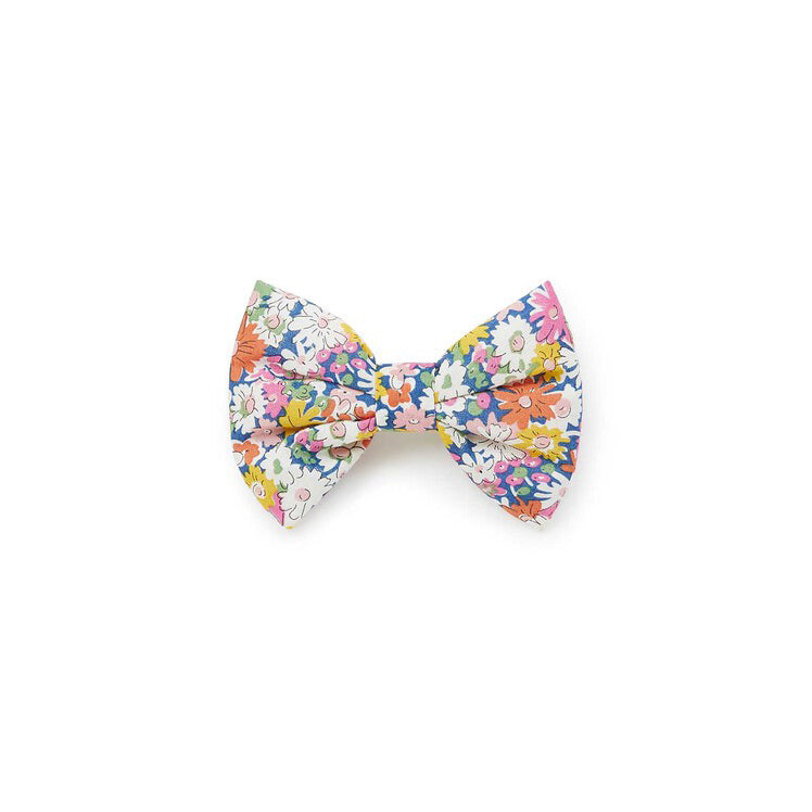 Girls Multicolor Hair Clips