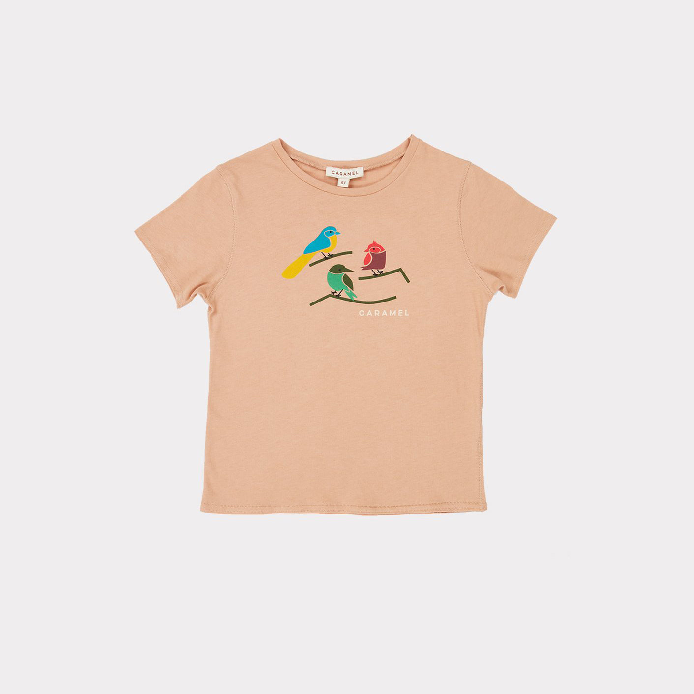 Boys & Girls Camel Cotton T-Shirt