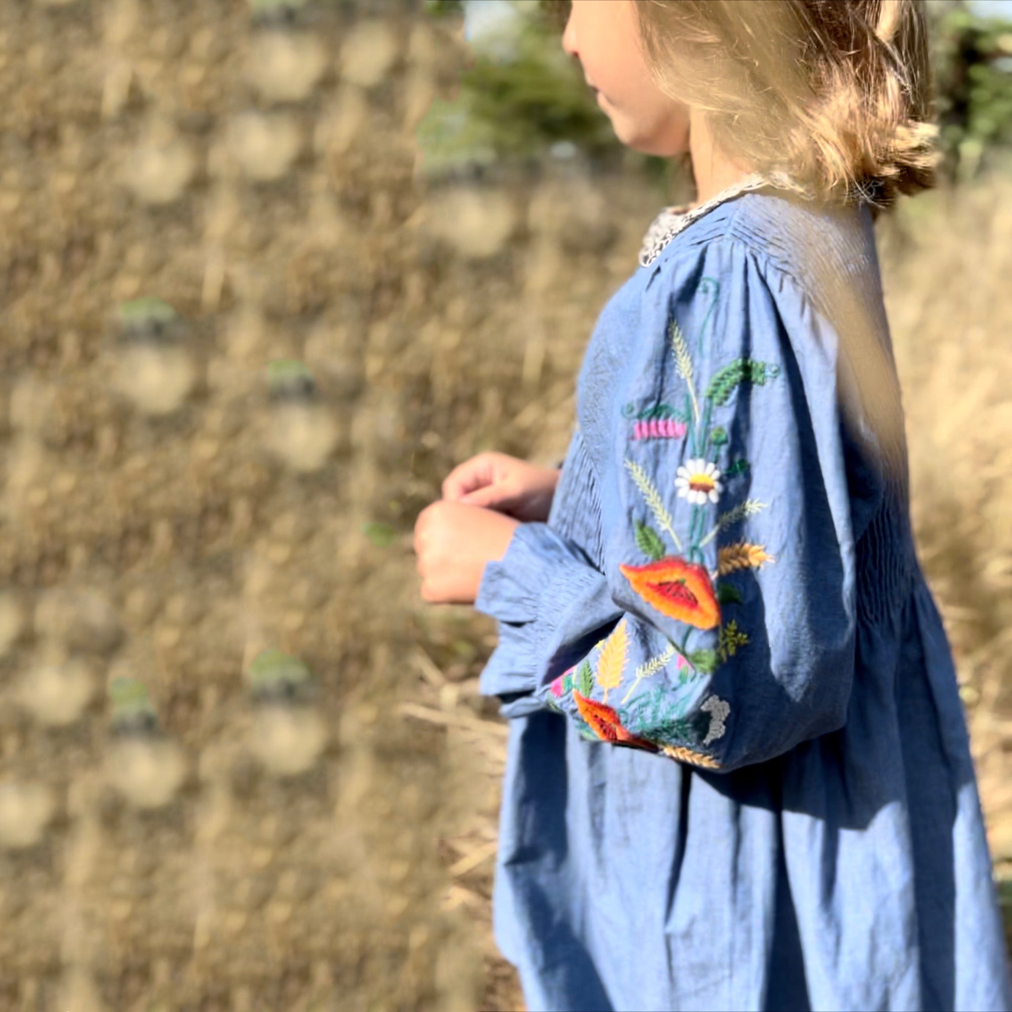 Girls Blue Embroidered Dress