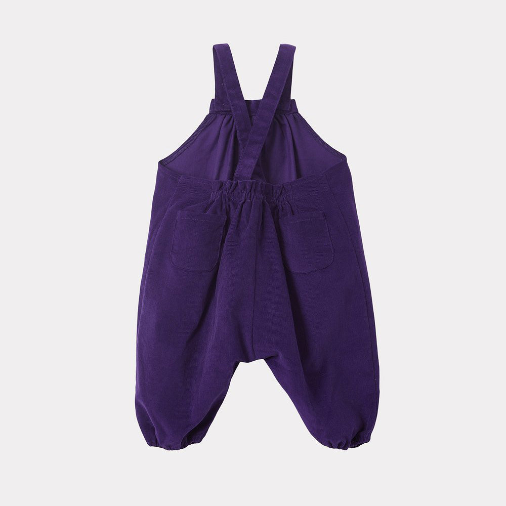 Baby Boys & Girls Purple Trousers