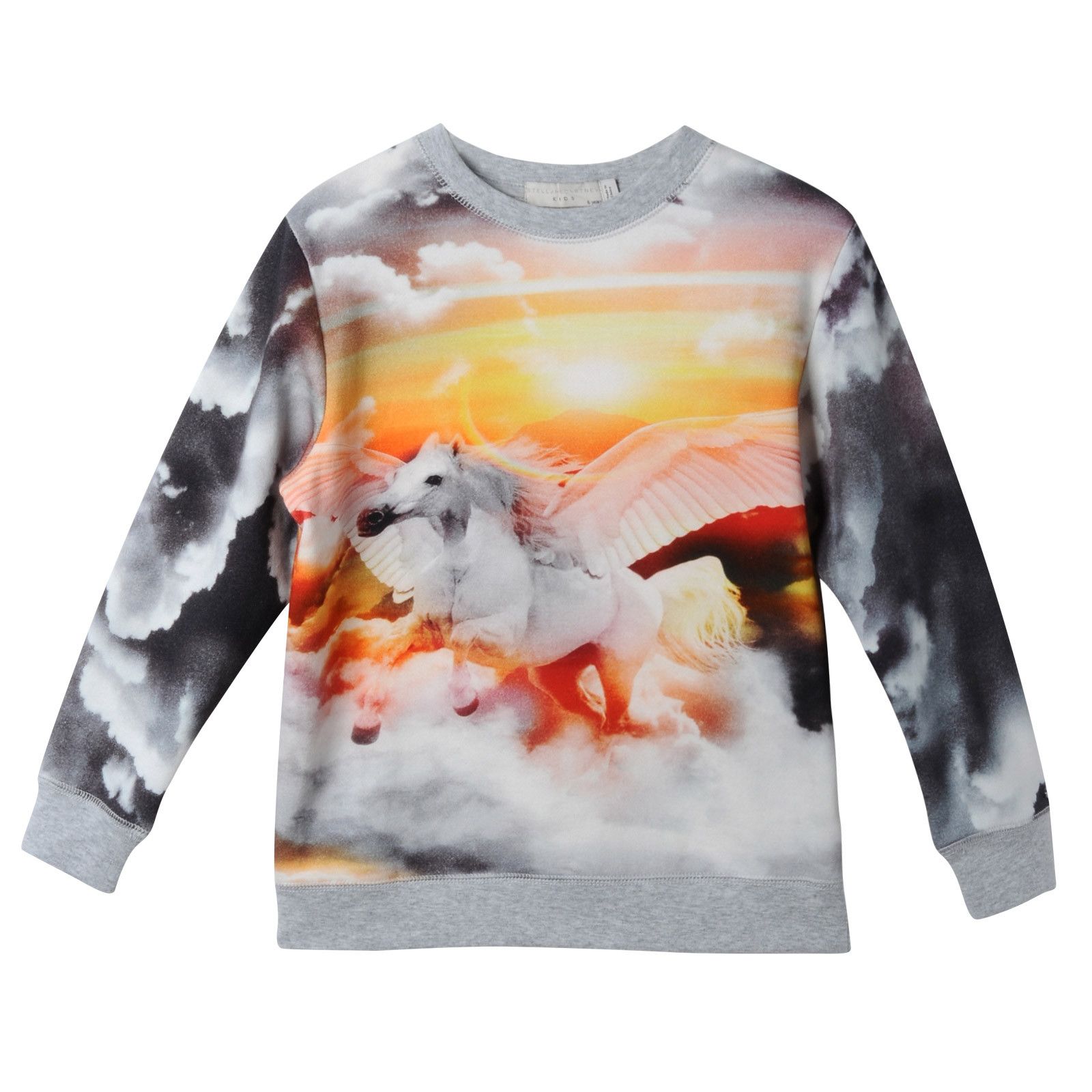 Boys Grey Pegasus Printed Cotton Sweater - CÉMAROSE | Children's Fashion Store - 1