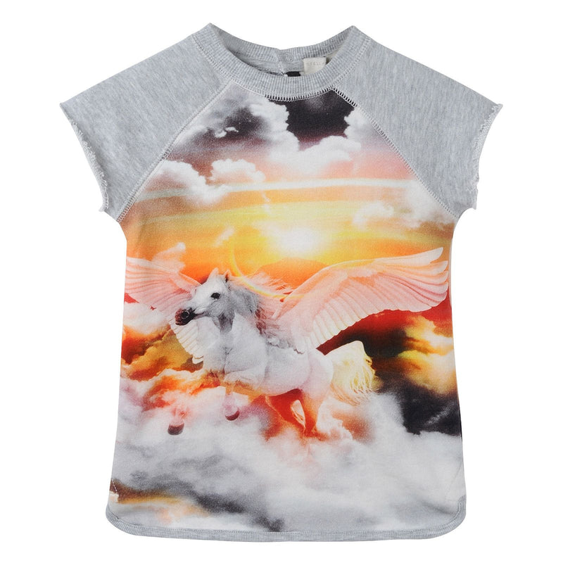 Baby Girls Grey Pegasus Printed Jersey Dress - CÉMAROSE | Children's Fashion Store - 1