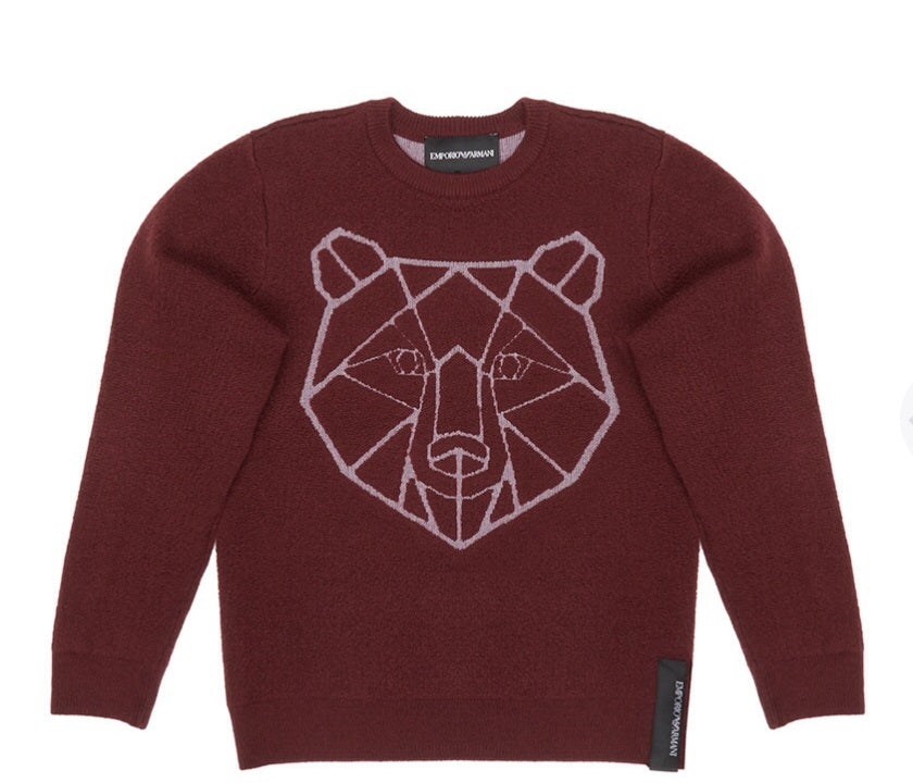 Boys Wine Red Printed Sweater