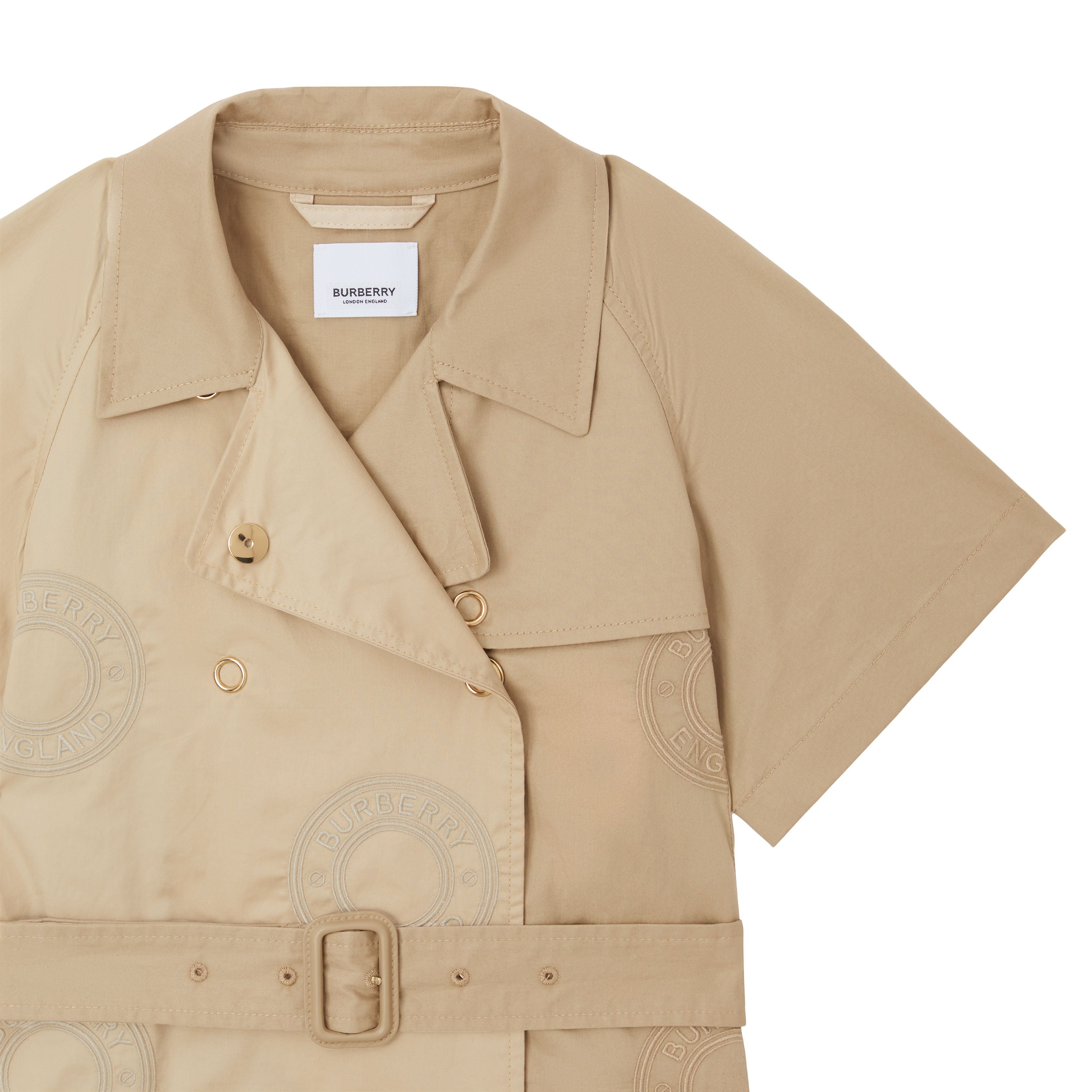 Girls Beige Embroidered Dress