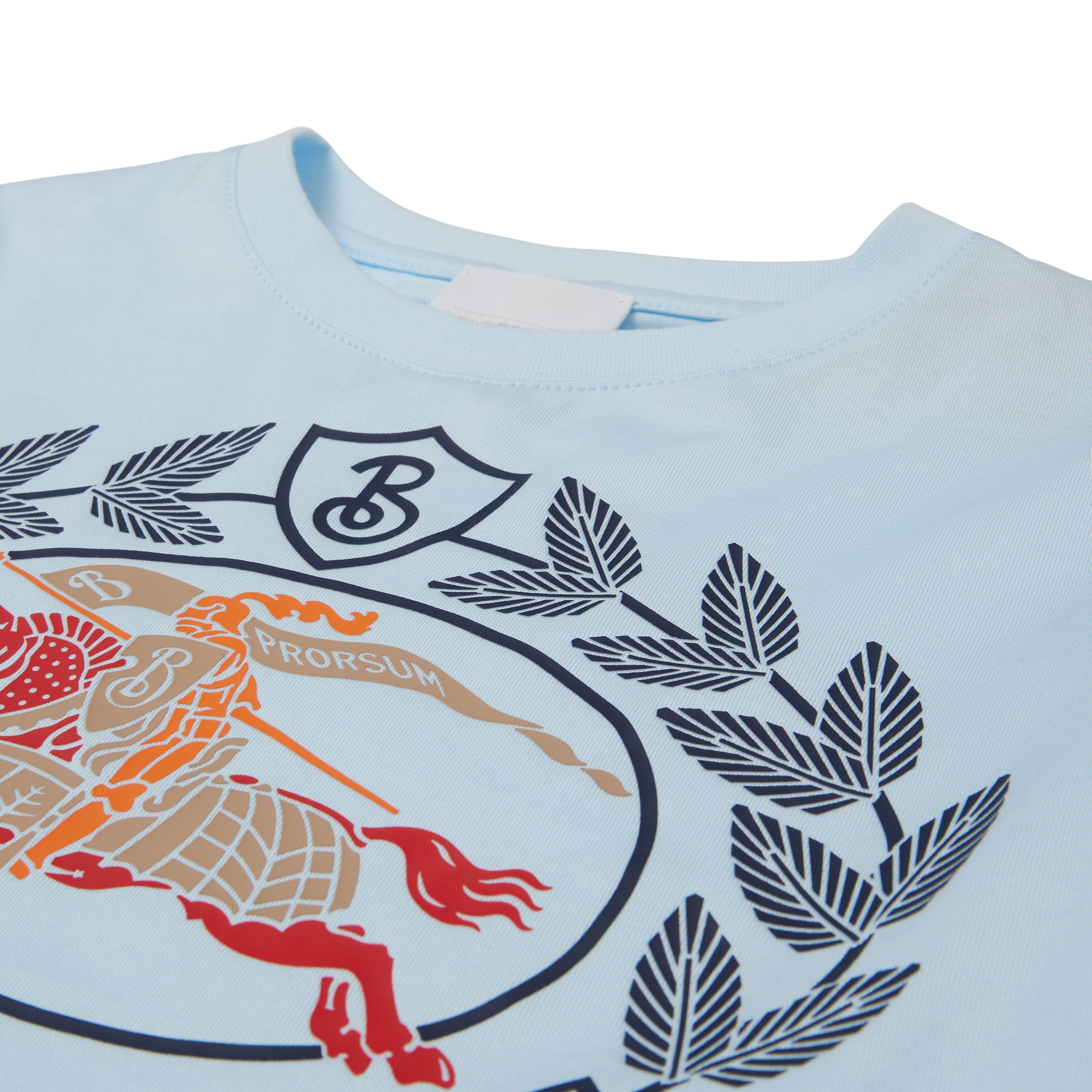 Boys & Girls Pale Blue Cotton T-Shirt