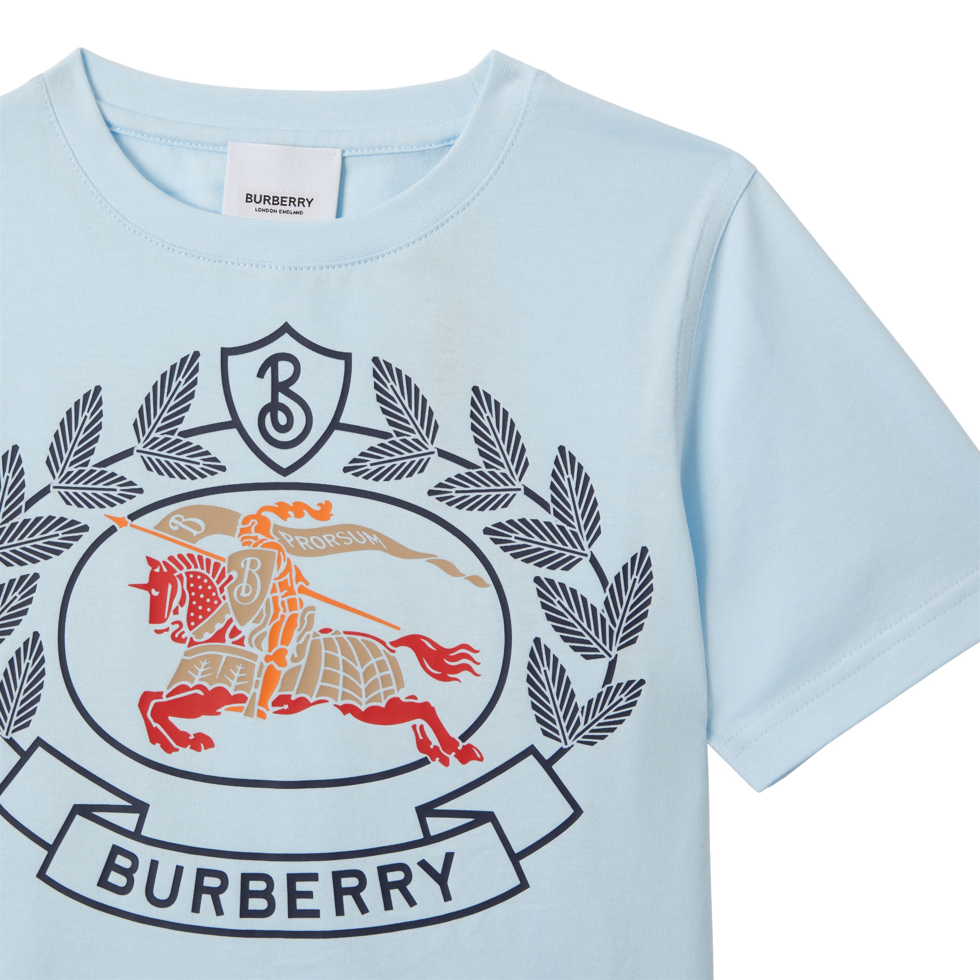 Boys & Girls Pale Blue Cotton T-Shirt
