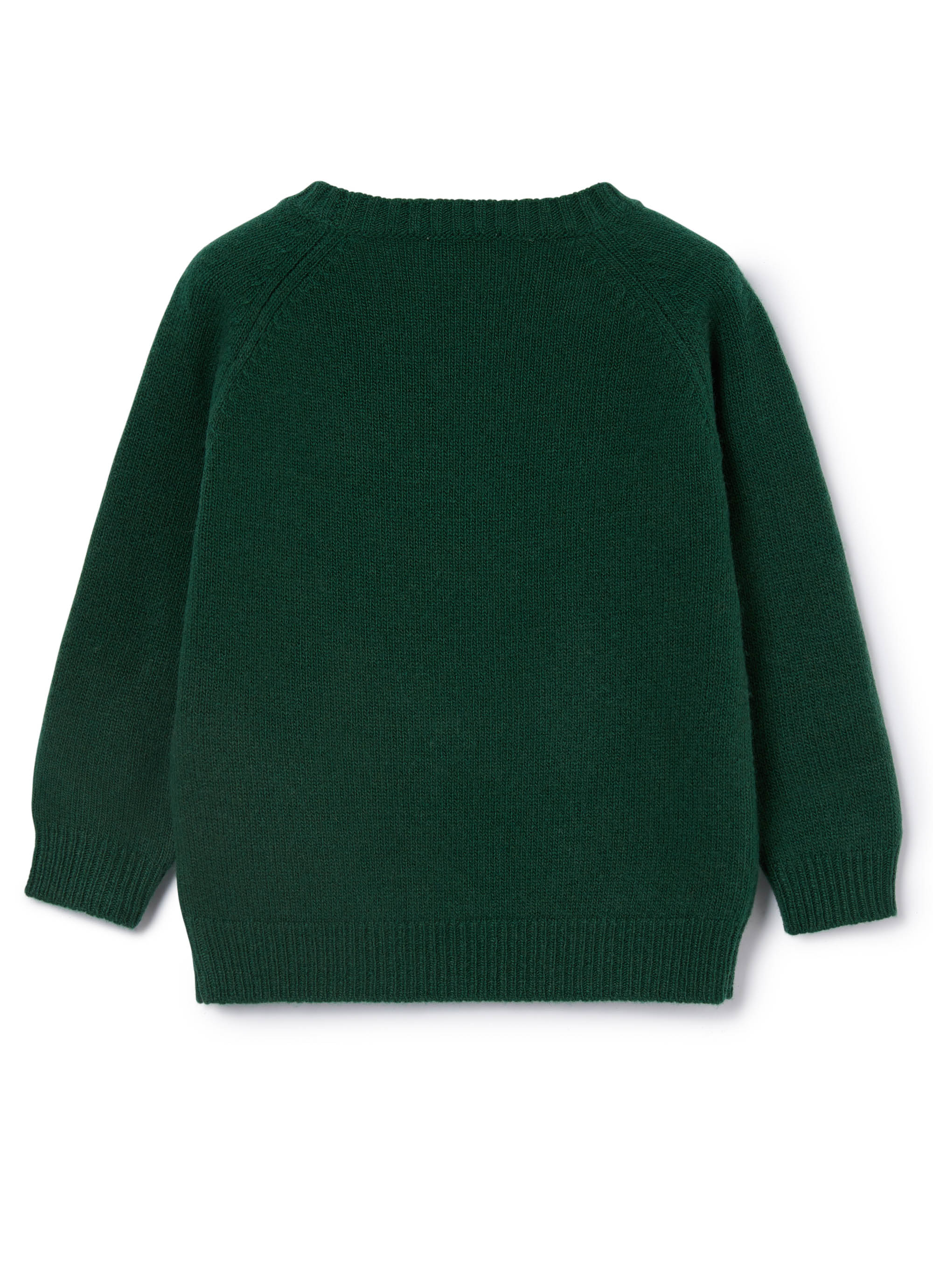 Boys Billiard Green Virgin Wool Sweater