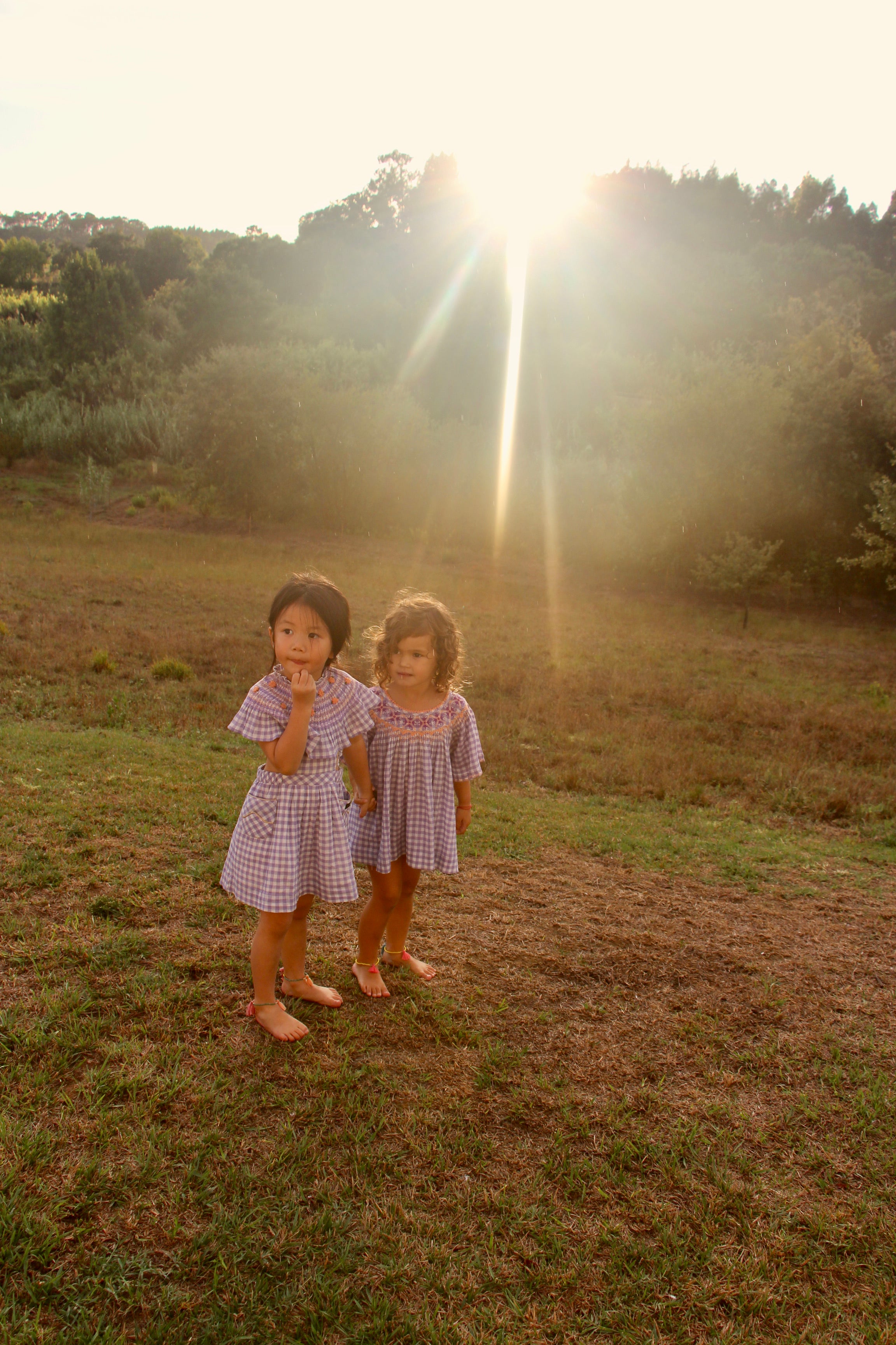 Girls Purple Check Embroidery Dress