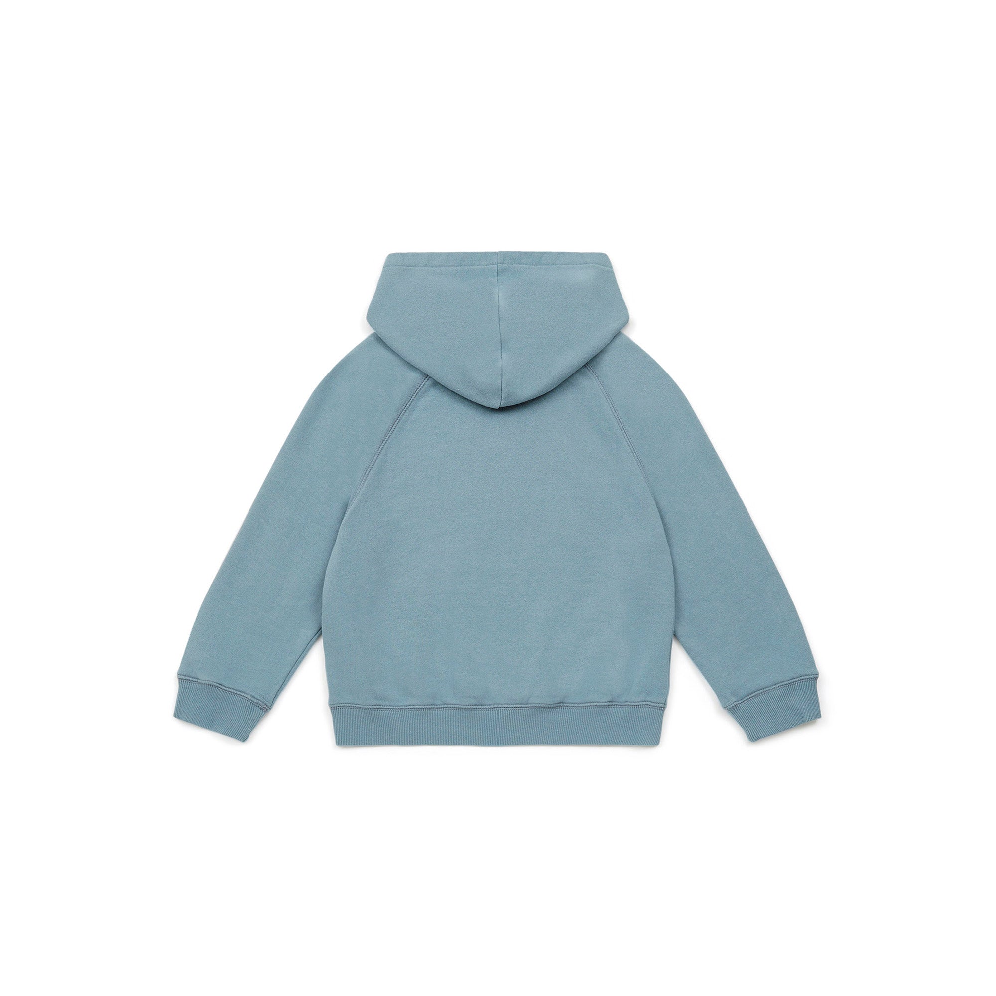 Boys Blue Hooded Sweatshirt