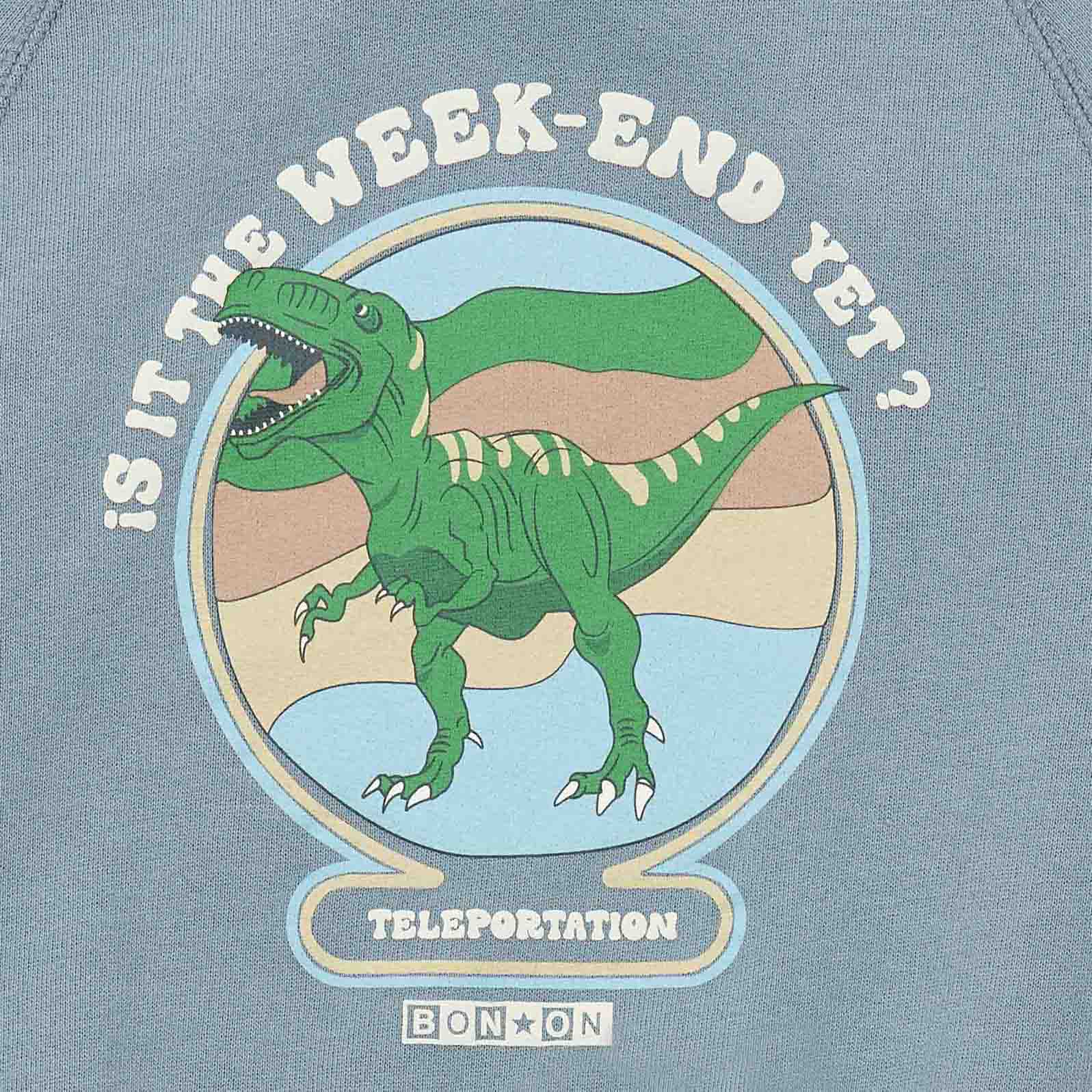 Boys Blue Hooded Sweatshirt