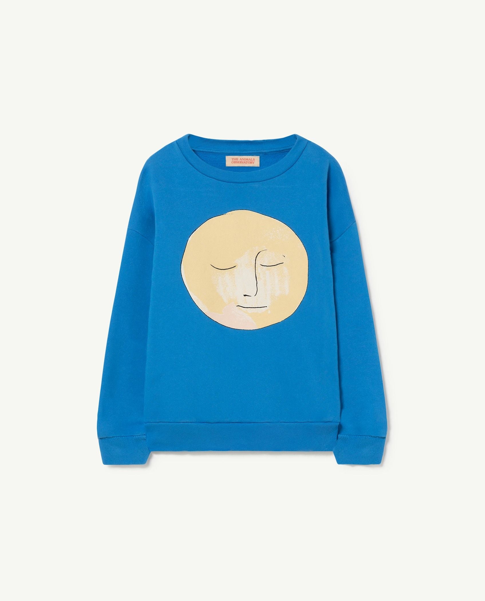 Boys & Girls Blue Printed Sweatshirt