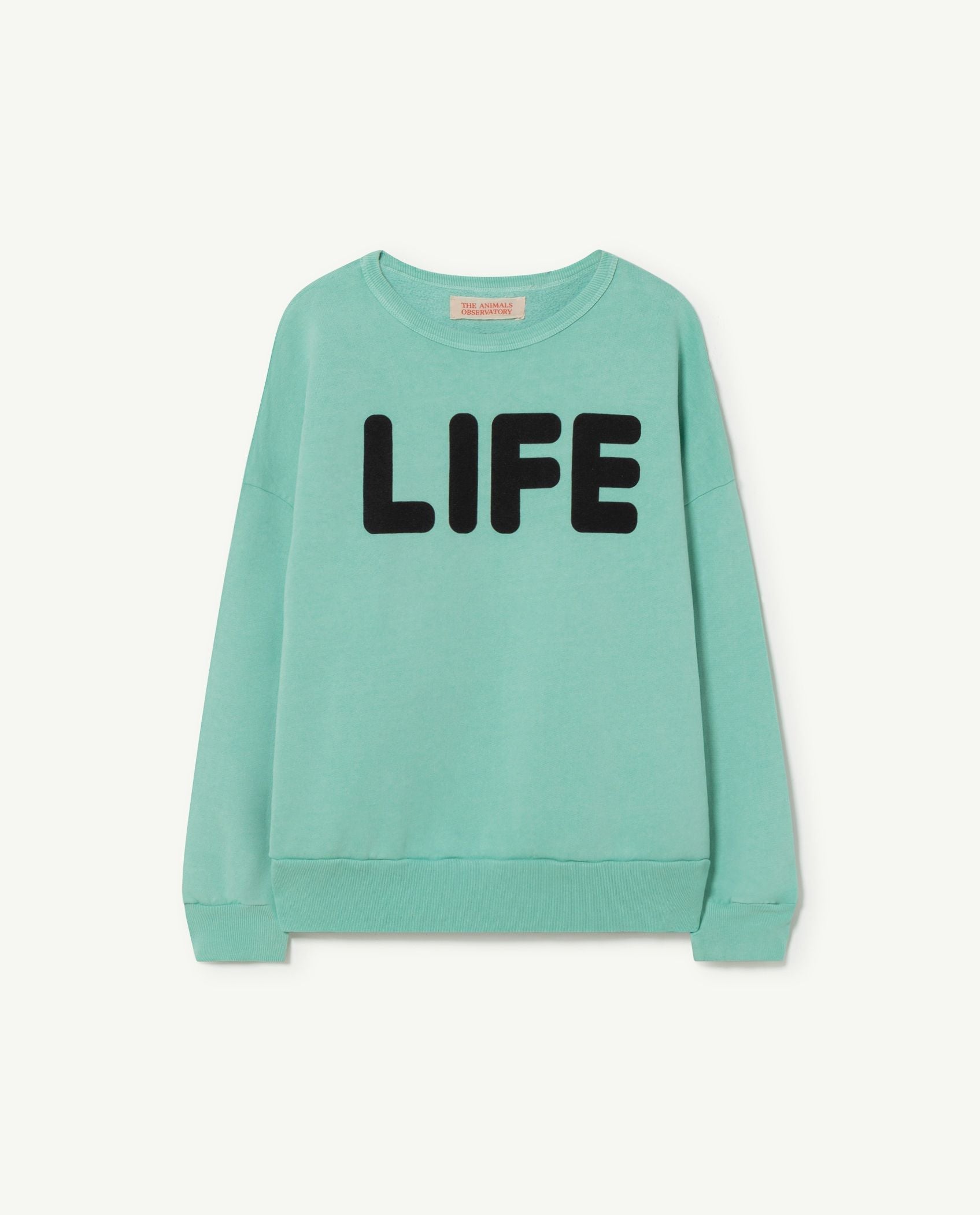 Boys & Girls Green Logo Sweatshirt