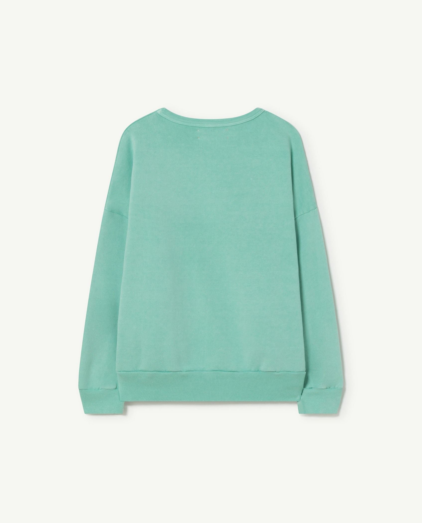 Boys & Girls Green Logo Sweatshirt