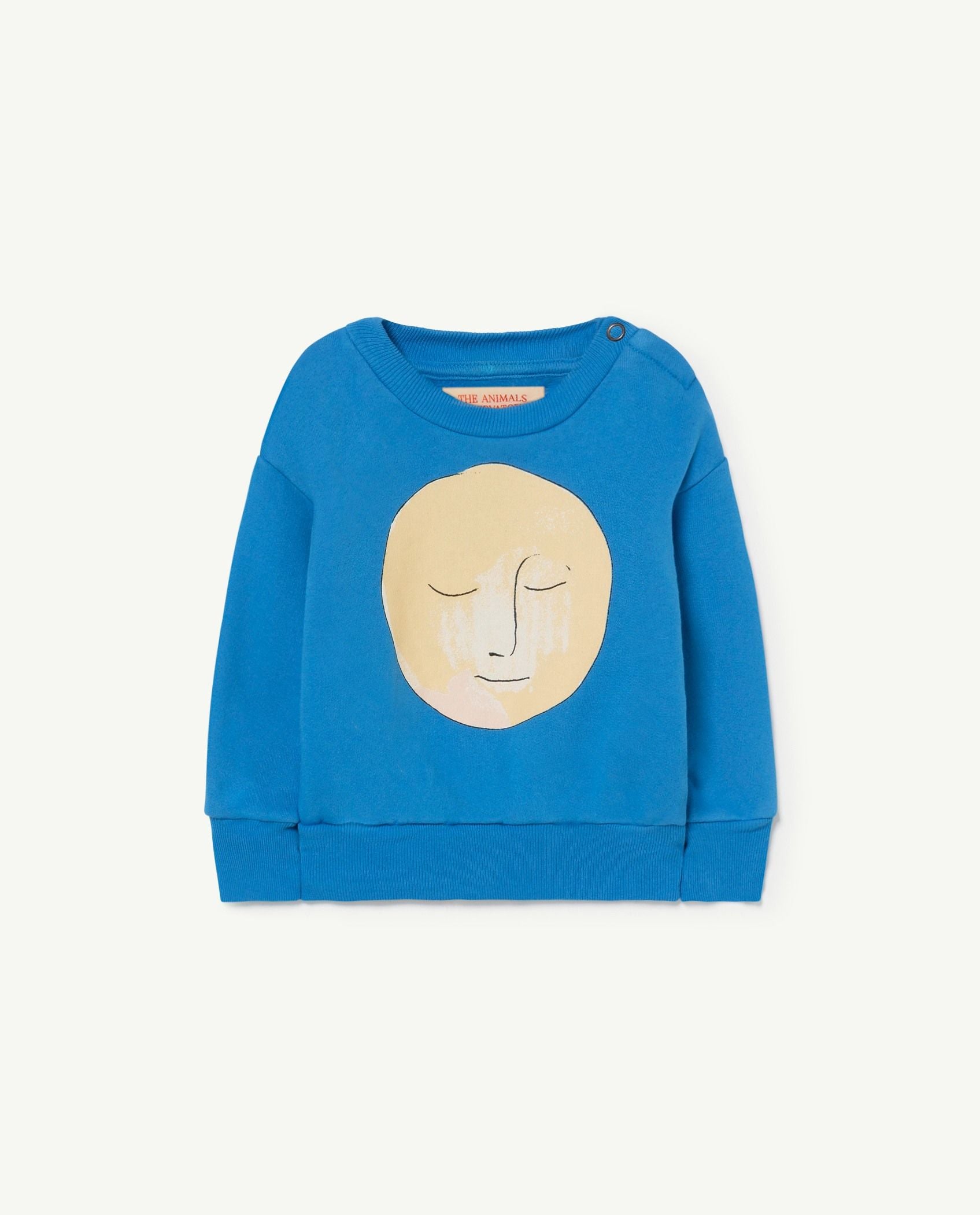 Baby Boys & Girls Blue Printed Sweatshirt