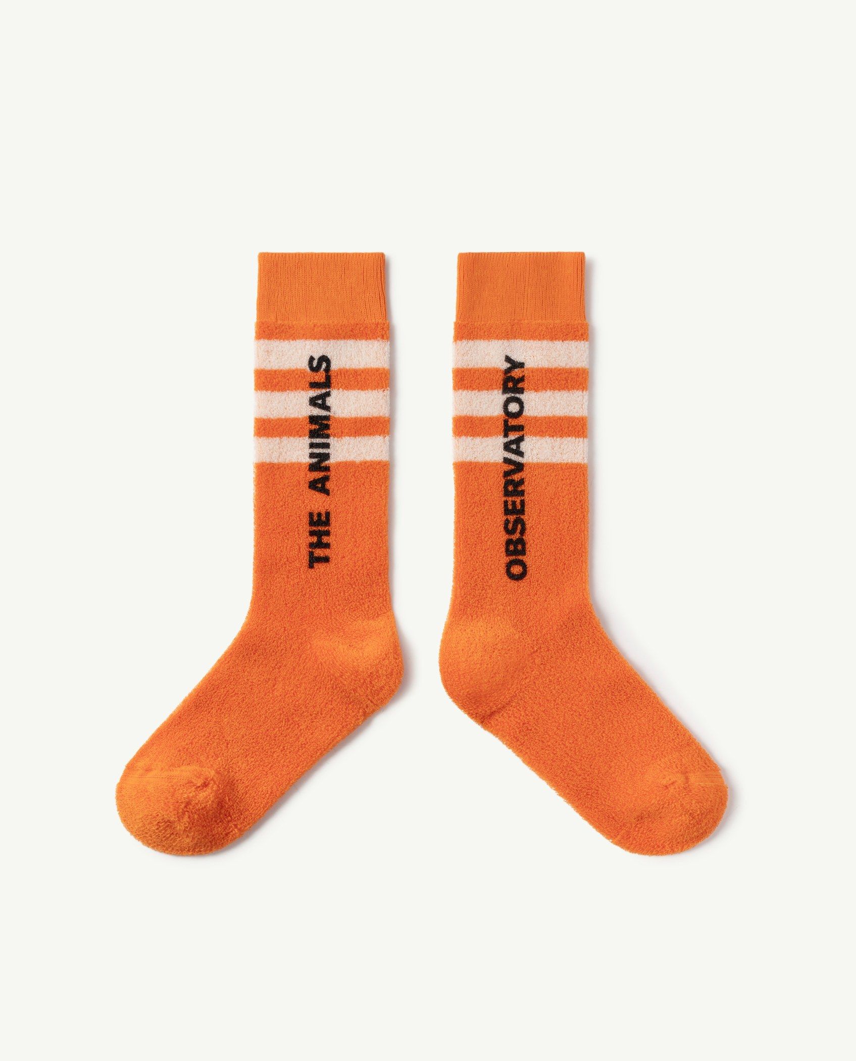 Boys & Girls Orange Cotton Socks